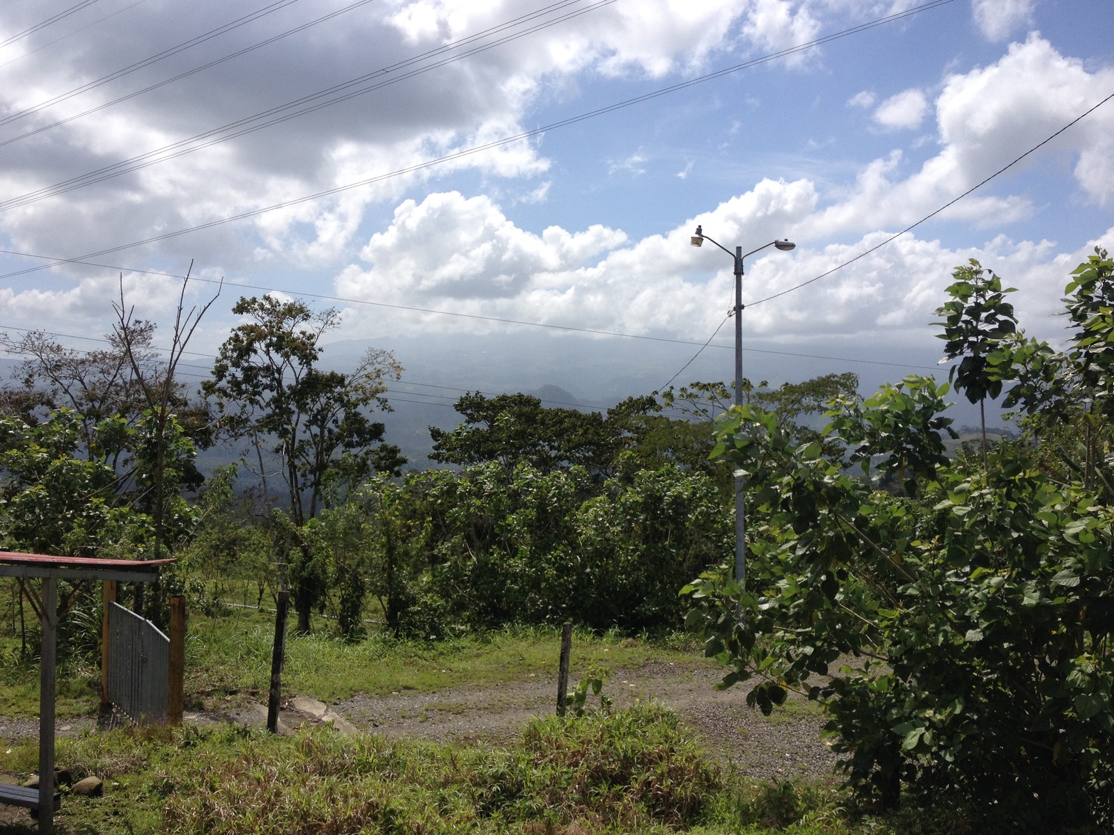 รูปถ่าย คอสตาริกา(Costa Rica) ตูร์รีอัลบา(Turrialba) 2015-03 79