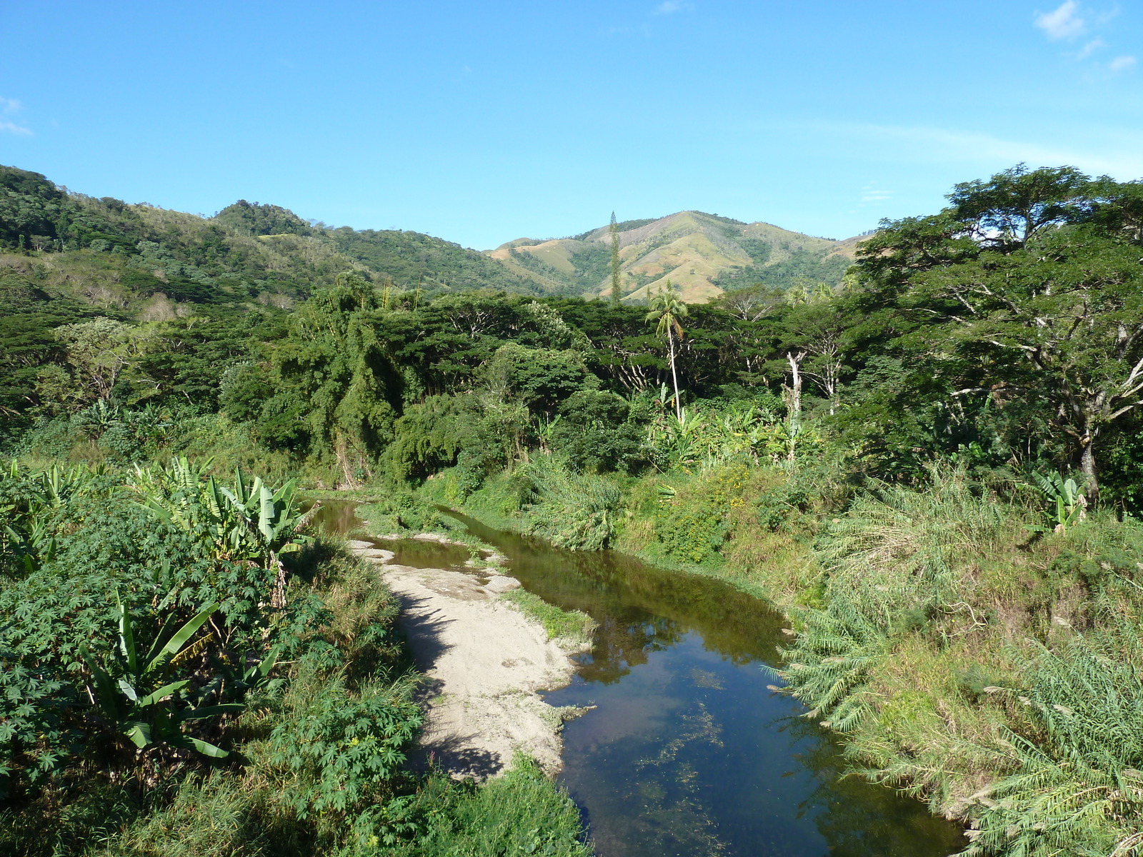 รูปถ่าย นิวแคลิโดเนีย(New Caledonia) ถนนจากกานาลาไปลาฟัว(Canala to La Foa road) 2010-05 28
