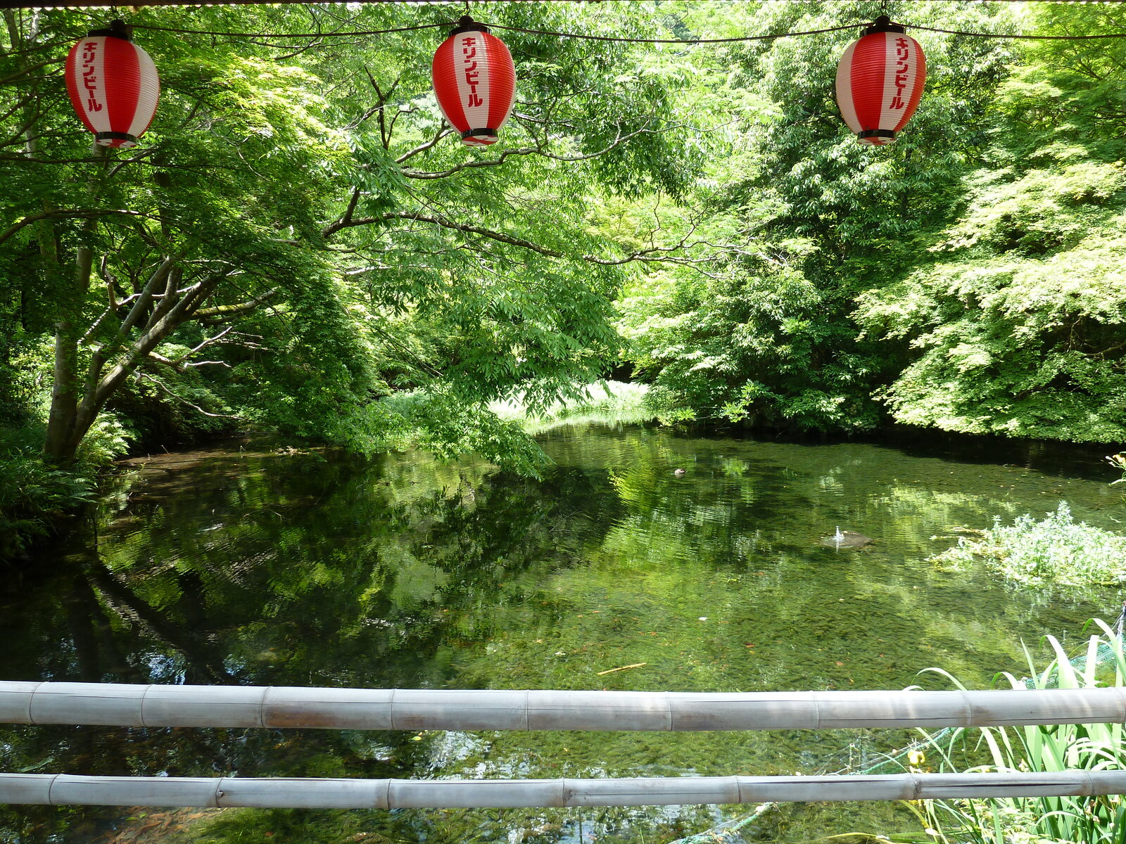 รูปถ่าย ญี่ปุ่น(Japan) เกียวโต(Kyoto) สถานียาเซะฮิเอซังงุจิ(Yase Hieizanguchi Station) 2010-06 11