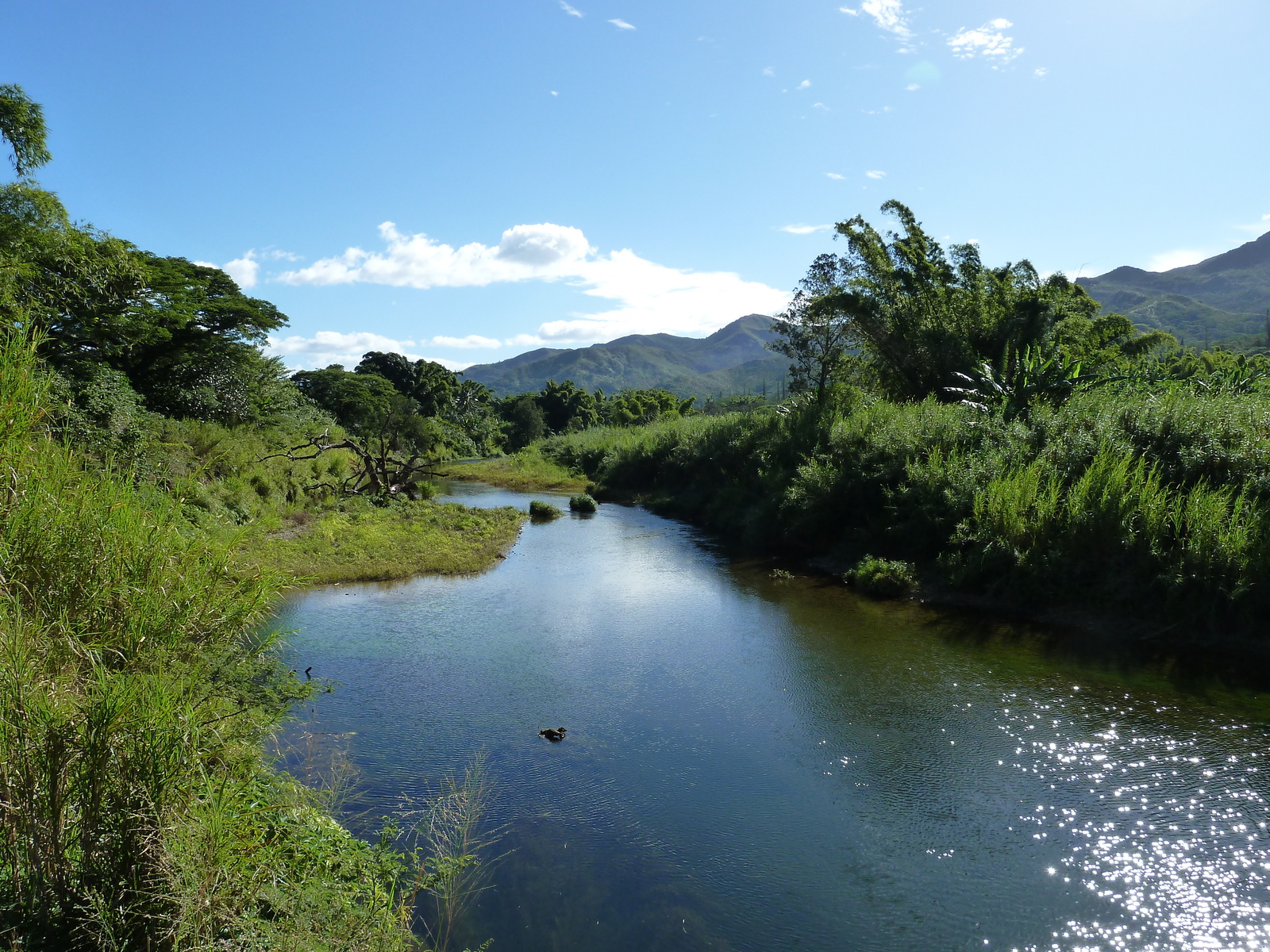 รูปถ่าย นิวแคลิโดเนีย(New Caledonia) 2010-05 107