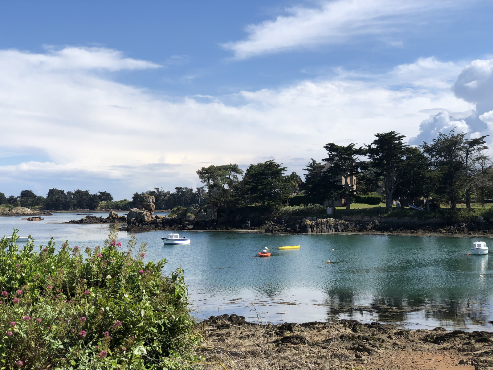 รูปถ่าย ฝรั่งเศส(France) เกาะเบรอา(Brehat Island) 2020-06 113