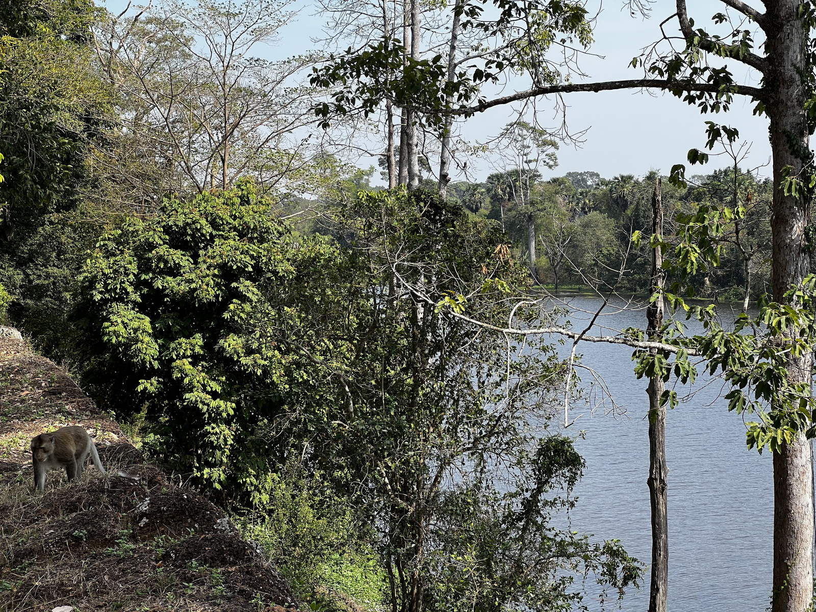 รูปถ่าย กัมพูชา(Cambodia) เสียมราฐ(Siem Reap) นครธม(Angkor Thom) 2023-01 12