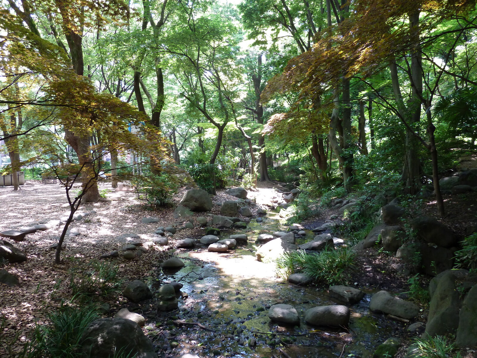 รูปถ่าย ญี่ปุ่น(Japan) โตเกียว(Tokyo) สวนชิบะ(Shiba Park) 2010-06 67