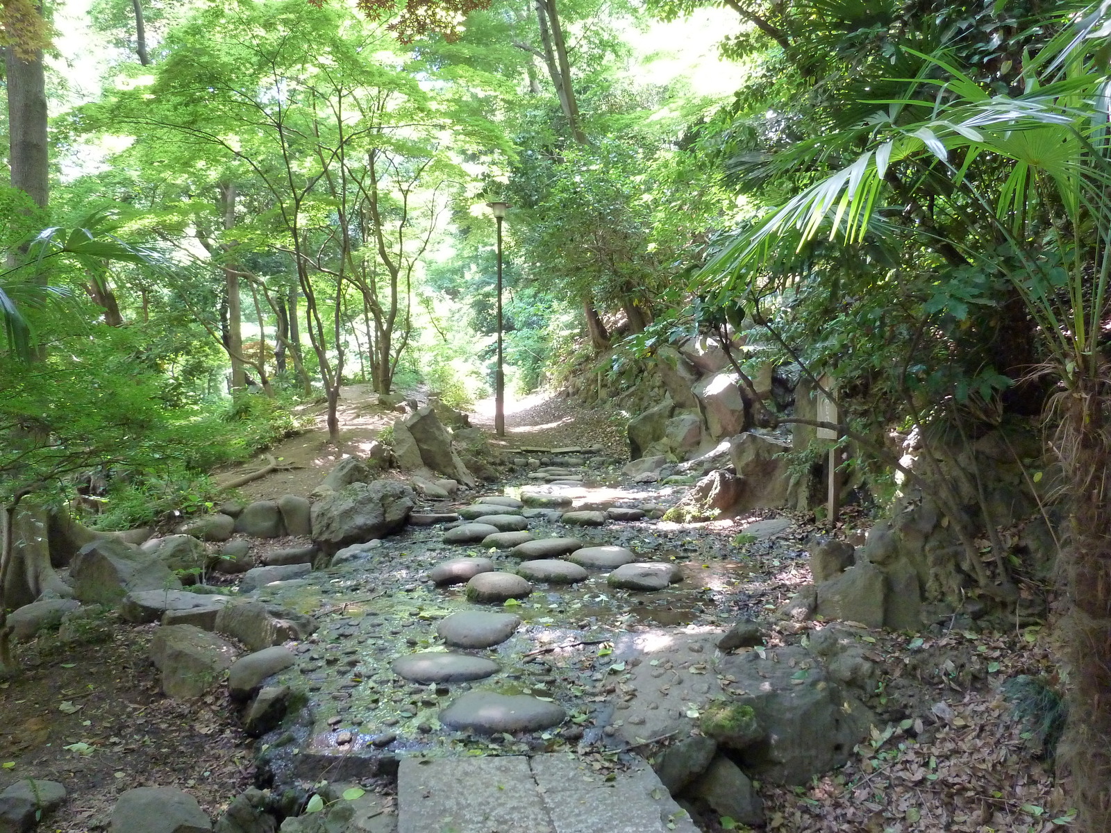 รูปถ่าย ญี่ปุ่น(Japan) โตเกียว(Tokyo) สวนชิบะ(Shiba Park) 2010-06 63