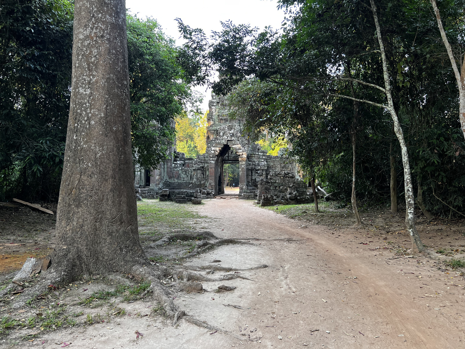 รูปถ่าย กัมพูชา(Cambodia) เสียมราฐ(Siem Reap) ปราสาทพระขรรค์(Preah Khan) 2023-01 37