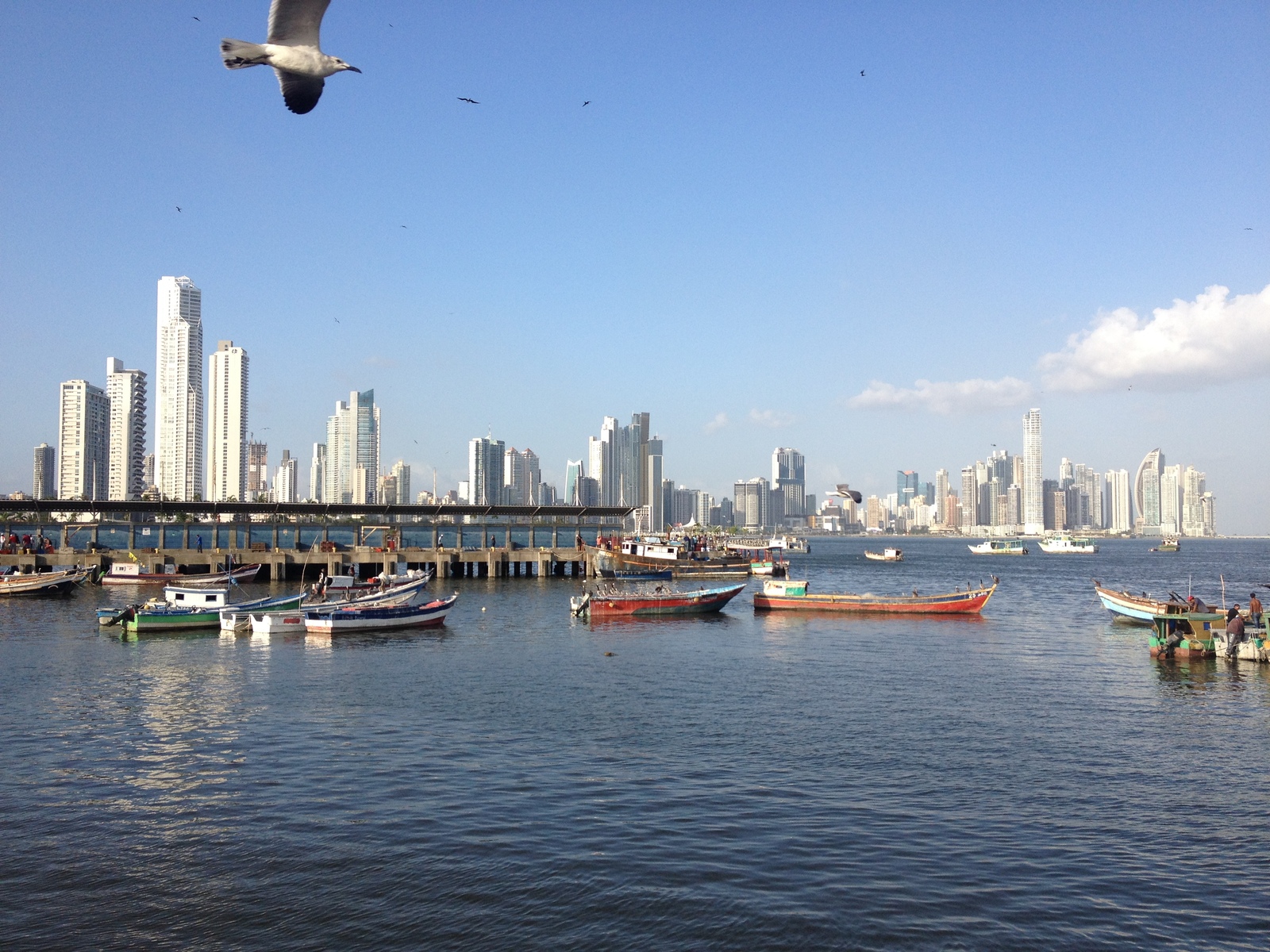รูปถ่าย ปานามา(Panama) ปานามาซิตี(Panama City) 2015-03 133