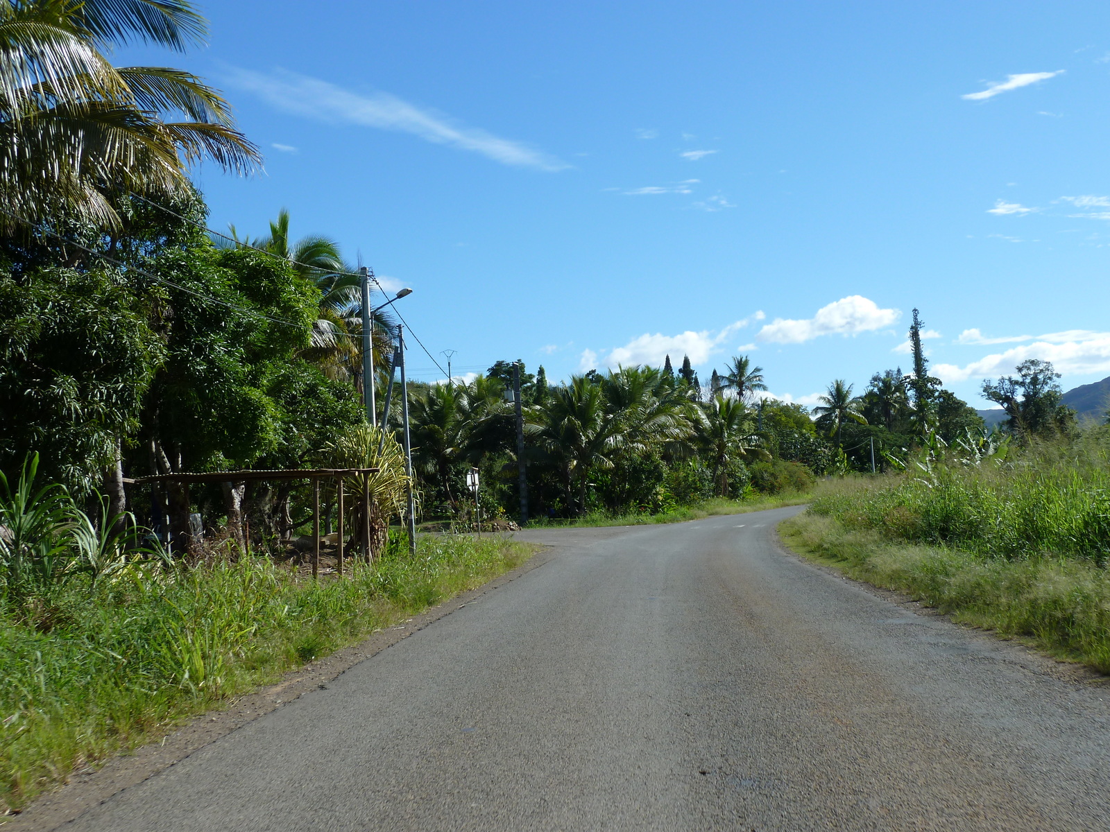 รูปถ่าย นิวแคลิโดเนีย(New Caledonia) ถนนจากกานาลาไปลาฟัว(Canala to La Foa road) 2010-05 56