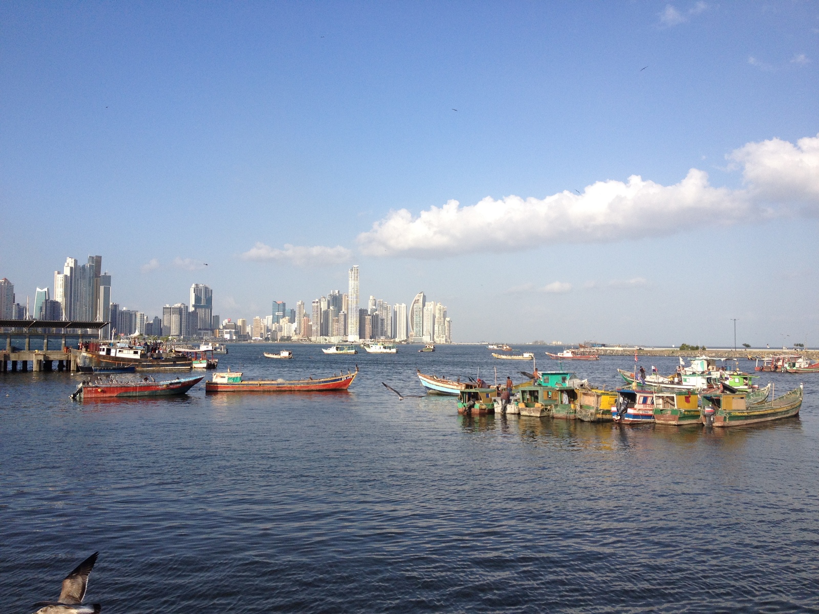 รูปถ่าย ปานามา(Panama) ปานามาซิตี(Panama City) 2015-03 106