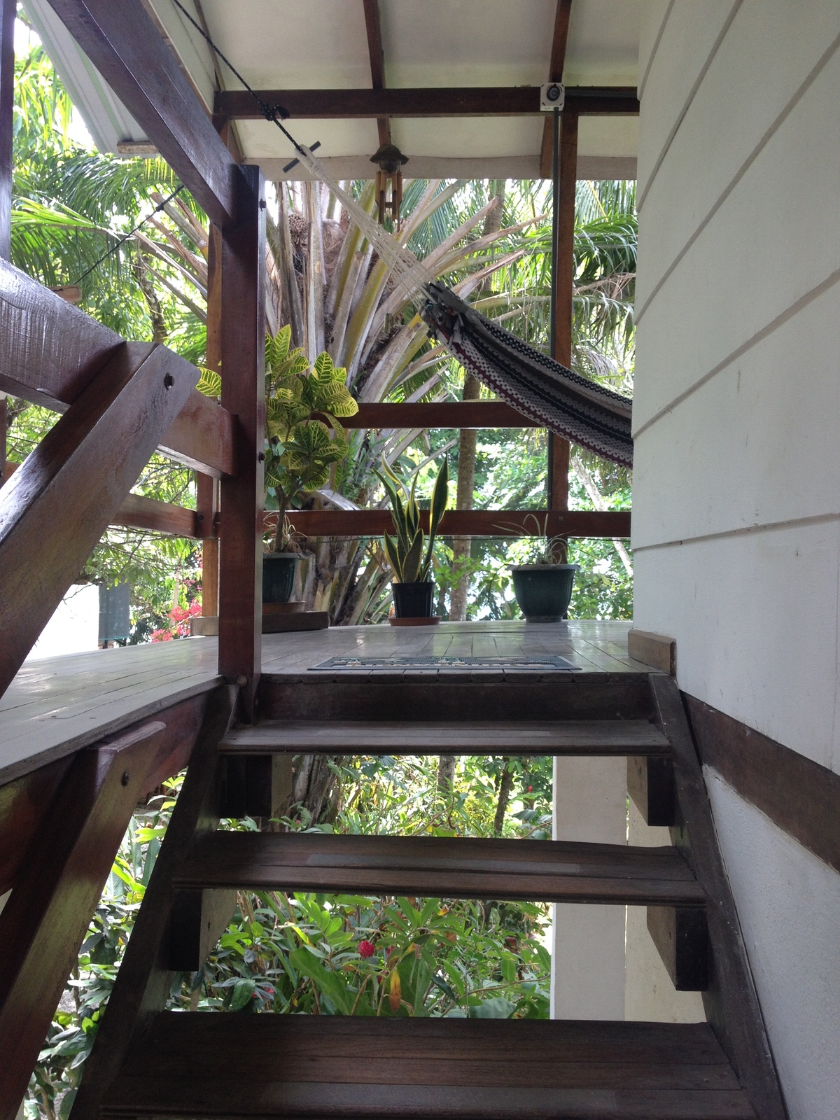 รูปถ่าย คอสตาริกา(Costa Rica) มอนเตซูมา(Montezuma) 2015-03 170