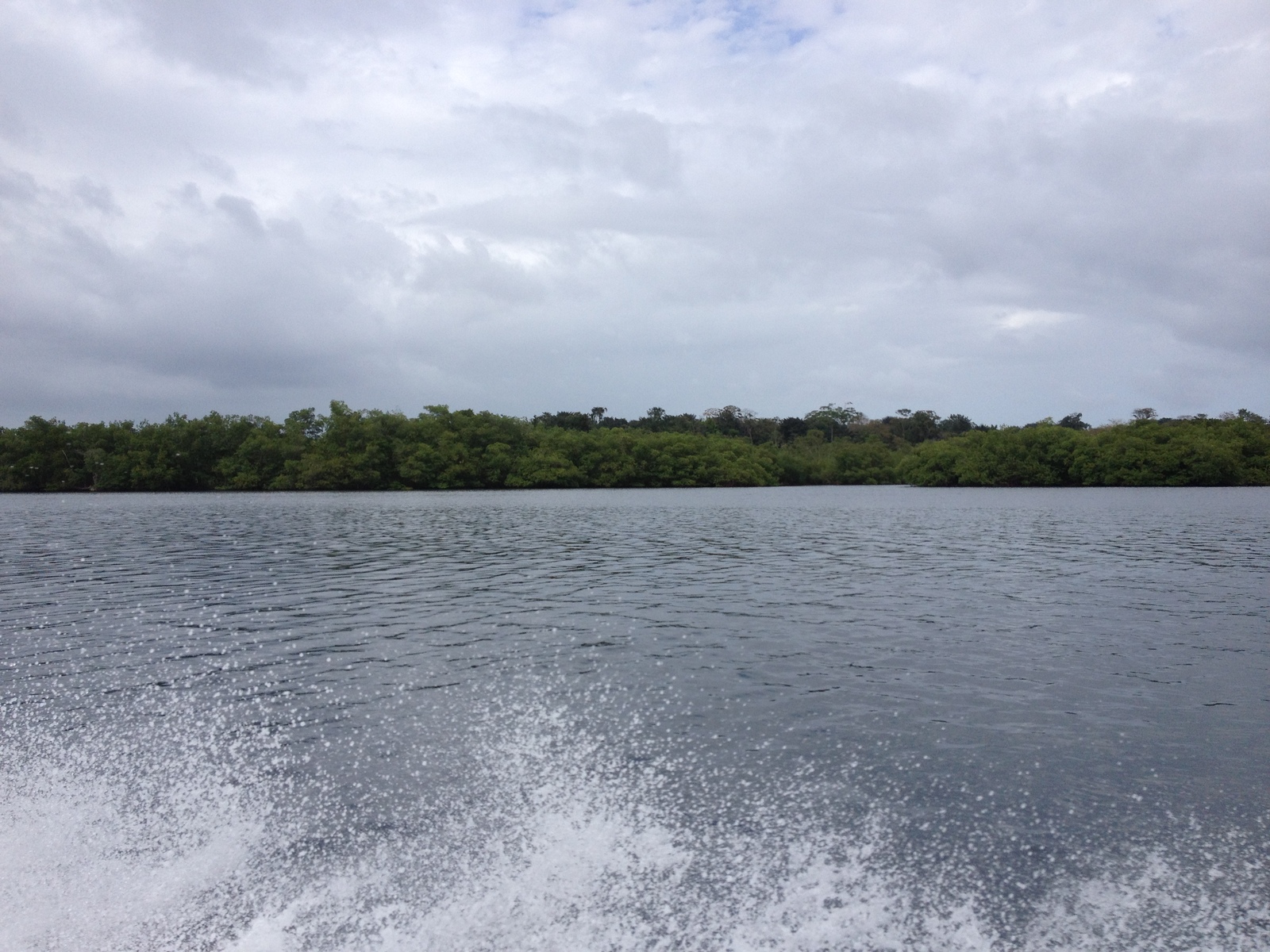 รูปถ่าย ปานามา(Panama) จากดาบิดไปโบกัสเดลโตโร(David to Bocas del toro) 2015-03 94