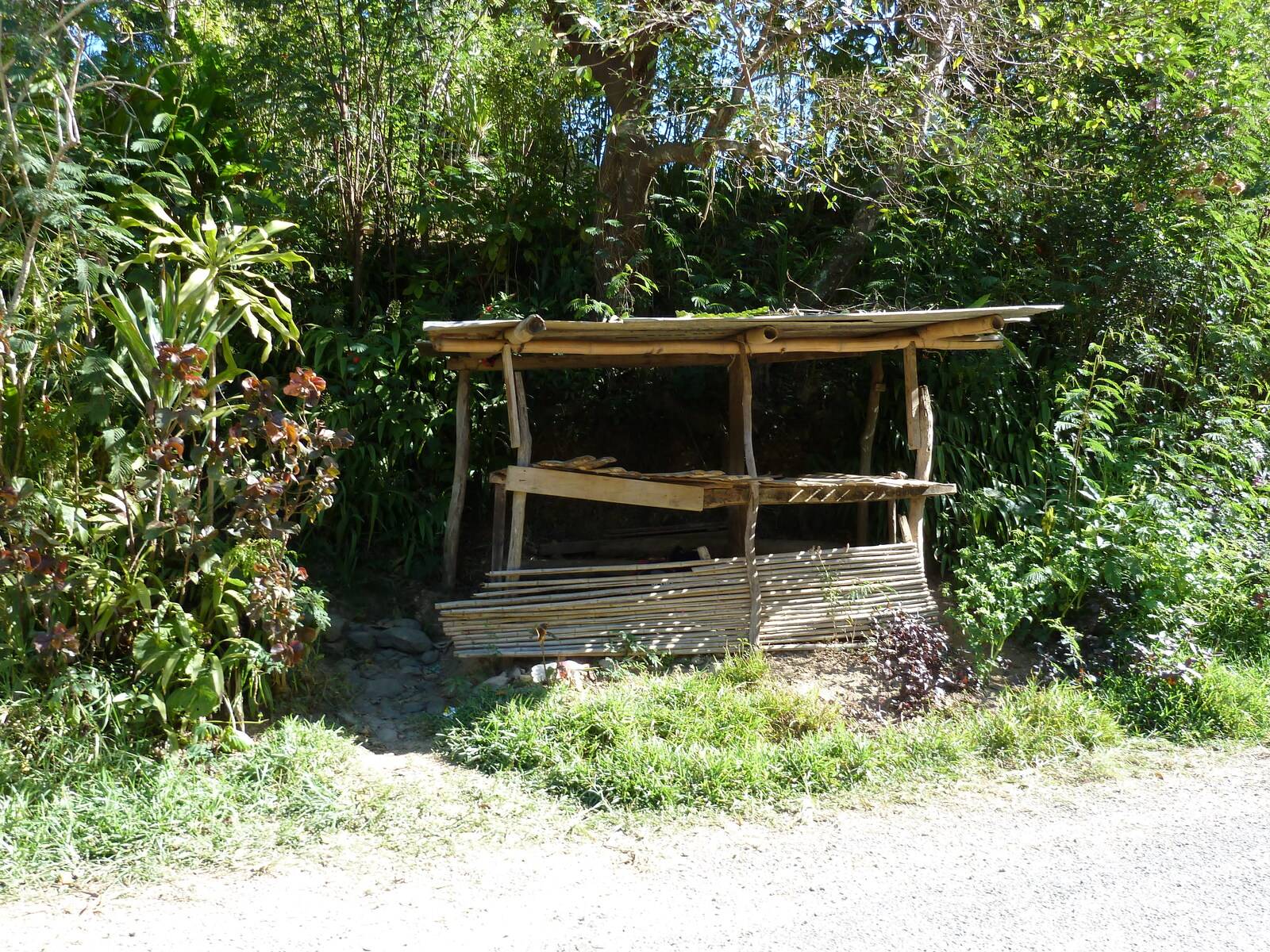 รูปถ่าย นิวแคลิโดเนีย(New Caledonia) ถนนจากกานาลาไปลาฟัว(Canala to La Foa road) 2010-05 9