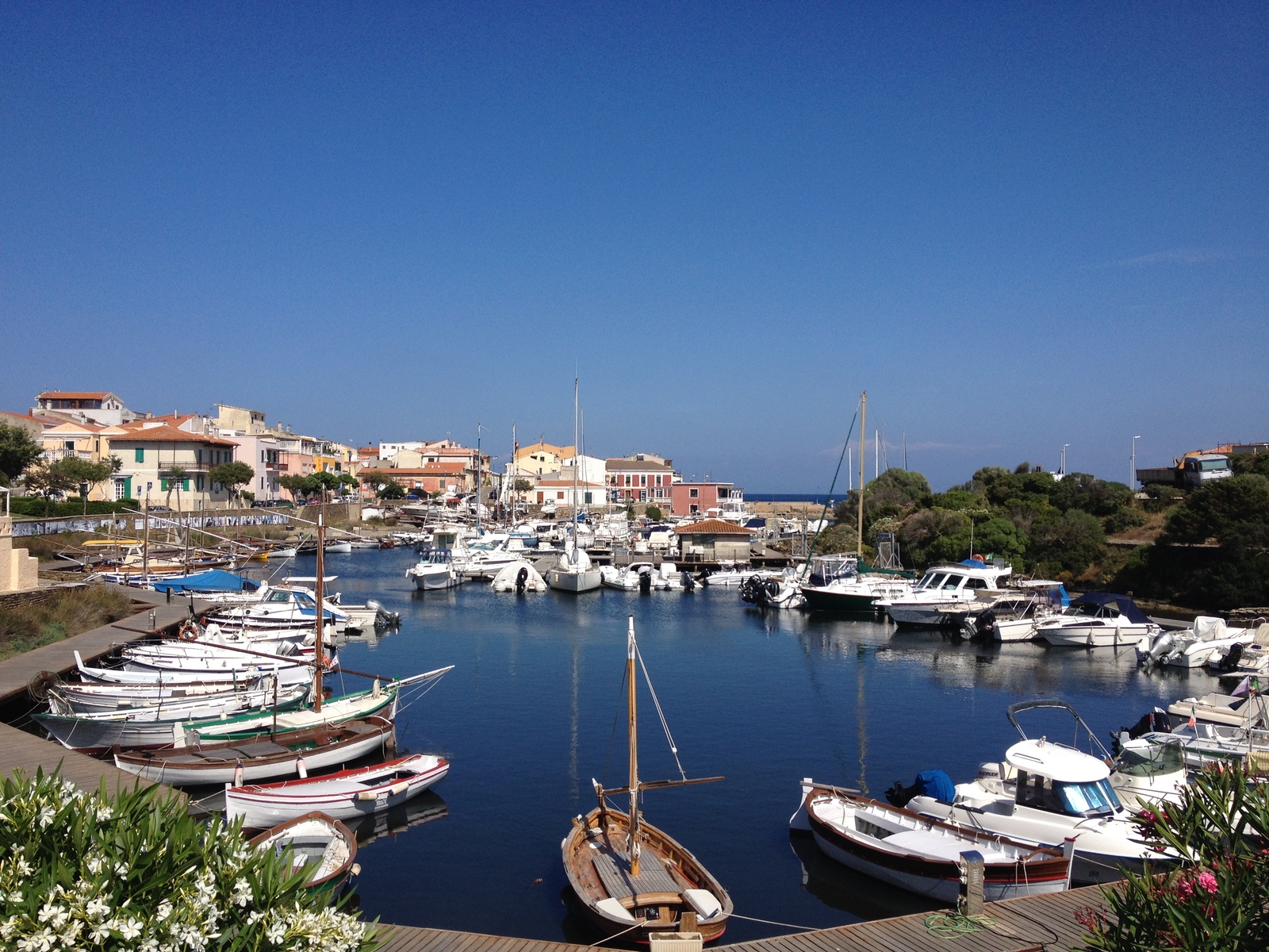 รูปถ่าย อิตาลี(Italy) ซาร์ดิเนีย(Sardinia) แหลมกาโปเดลฟัลโกเน(Capo del Falcone) 2015-06 23