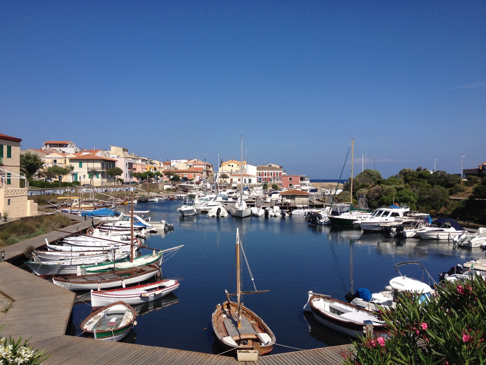 รูปถ่าย อิตาลี(Italy) ซาร์ดิเนีย(Sardinia) แหลมกาโปเดลฟัลโกเน(Capo del Falcone) 2015-06 16