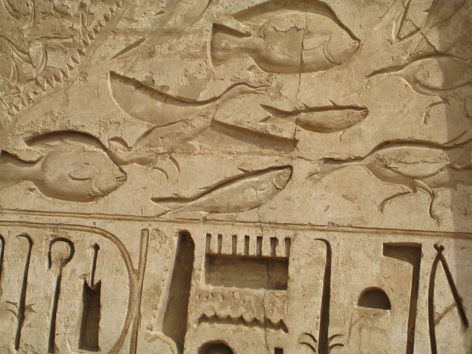รูปถ่าย อียิปต์(Egypt) ลูซอร์(Luxor) 2007-04 18