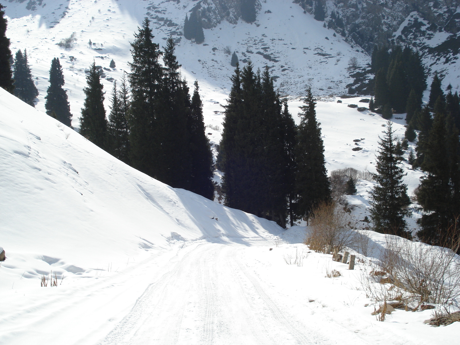 รูปถ่าย คาซัคสถาน(Kazakhstan) ซิมบูแลค(Shymbulak) 2007-03 65