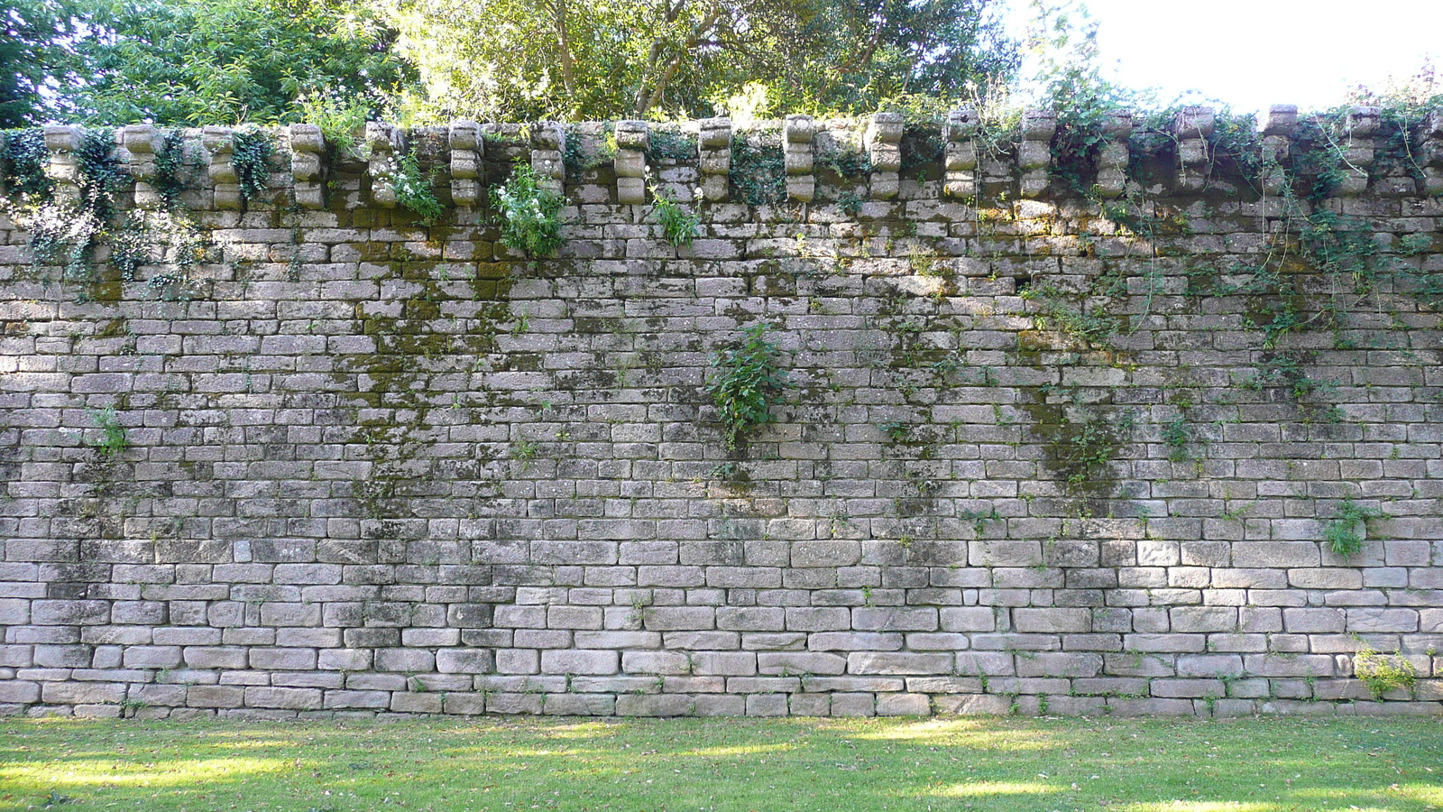 รูปถ่าย ฝรั่งเศส(France) เกรองเดอ(Guerande) 2007-08 6