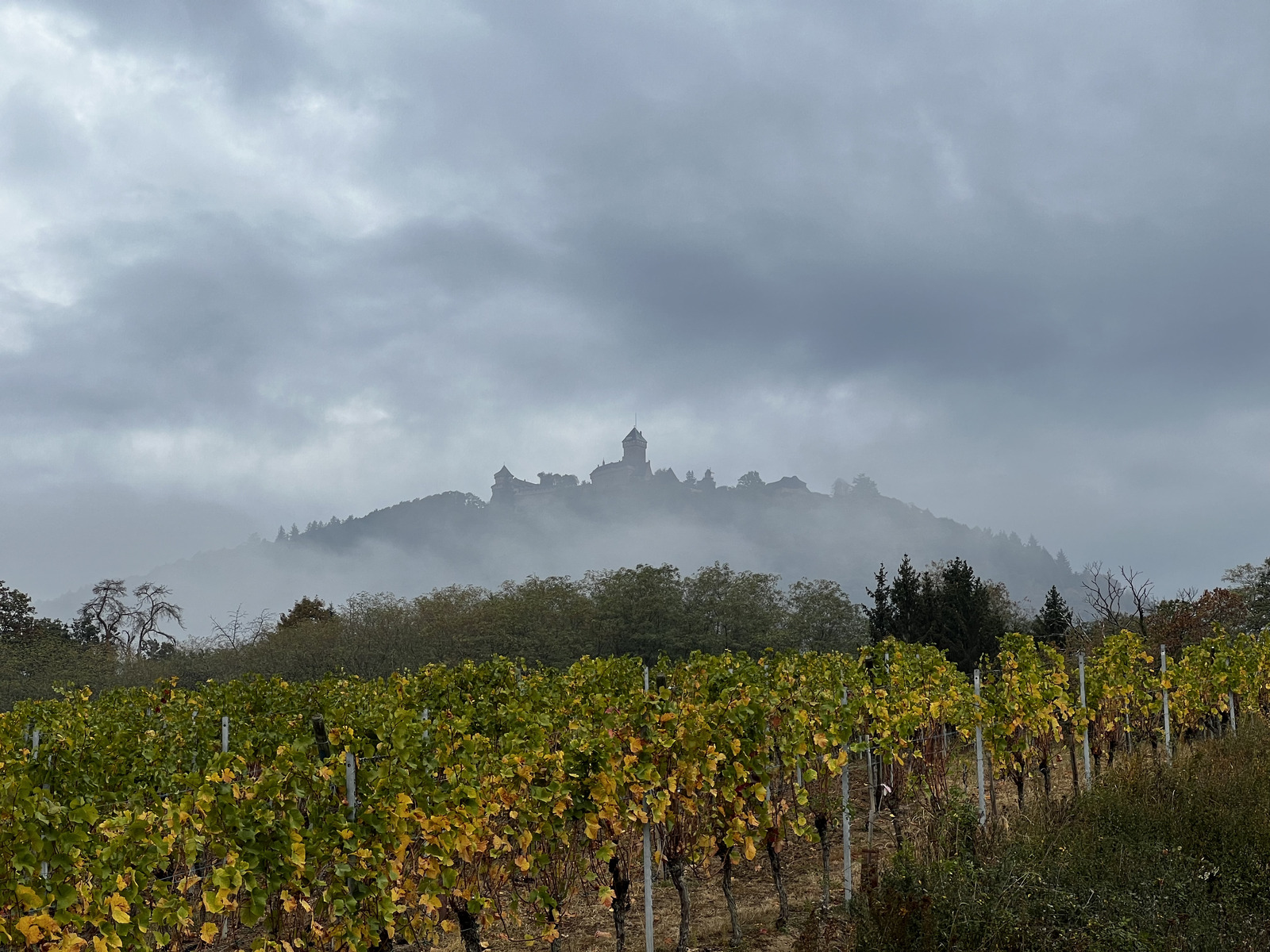 รูปถ่าย ฝรั่งเศส(France) ปราสาทโอ-เคอนิกส์บูร์ก(Koenigsbourg Castle) 2023-10 20
