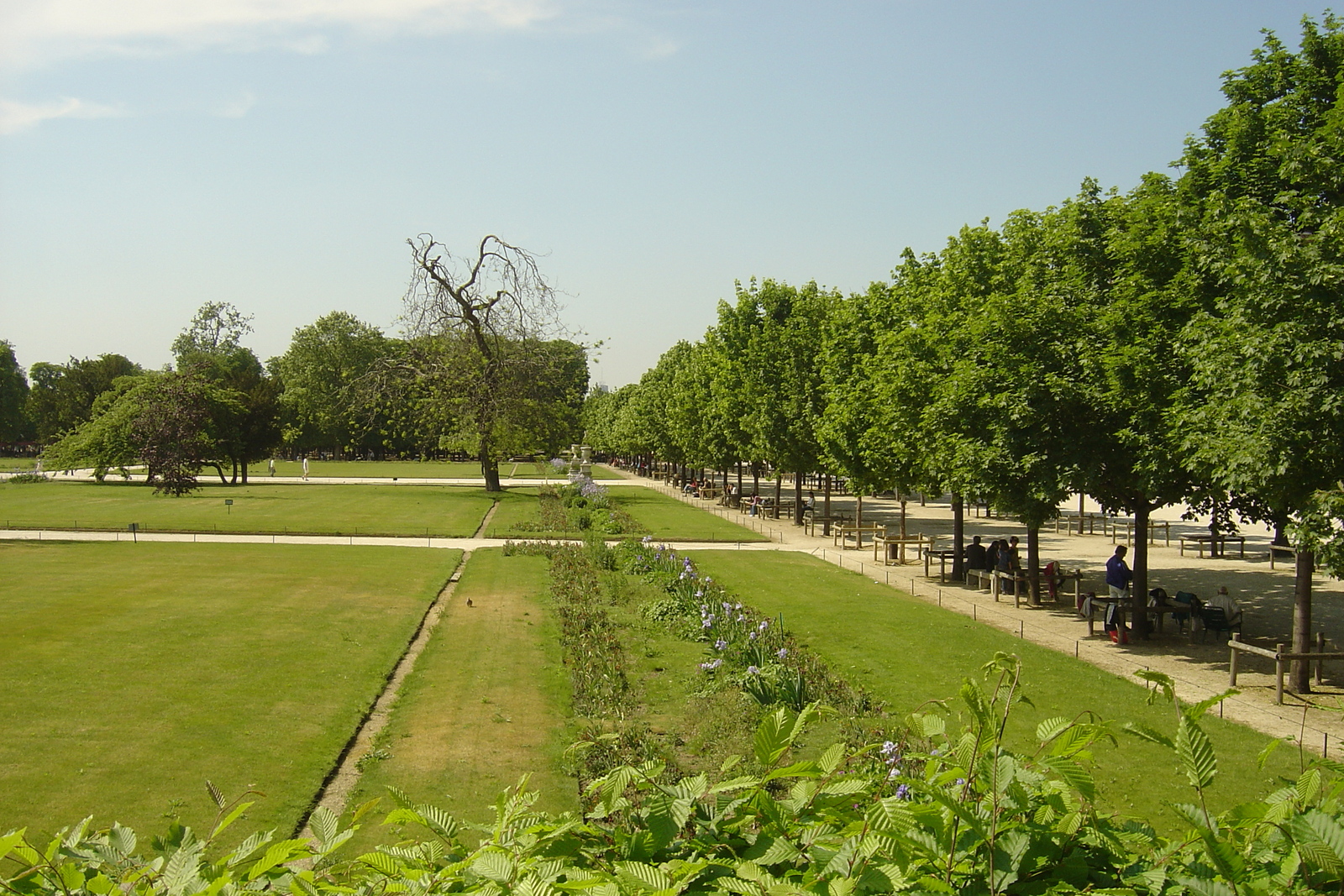 รูปถ่าย ฝรั่งเศส(France) ปารีส(Paris) สวนตุยเลอรี(Garden of Tuileries) 2007-05 223