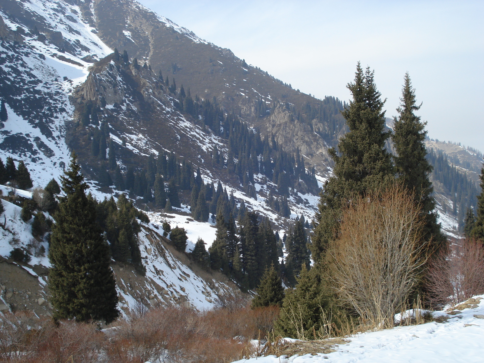 รูปถ่าย คาซัคสถาน(Kazakhstan) ซิมบูแลค(Shymbulak) 2007-03 92