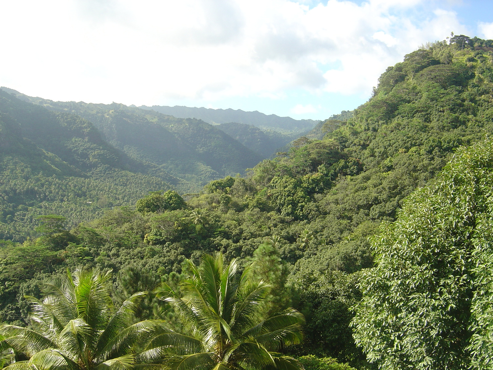 รูปถ่าย เฟรนช์โพลี่นีเซีย(Polynesia) หมู่เกาะมาร์เคซัส(Marquises) 2006-04 69