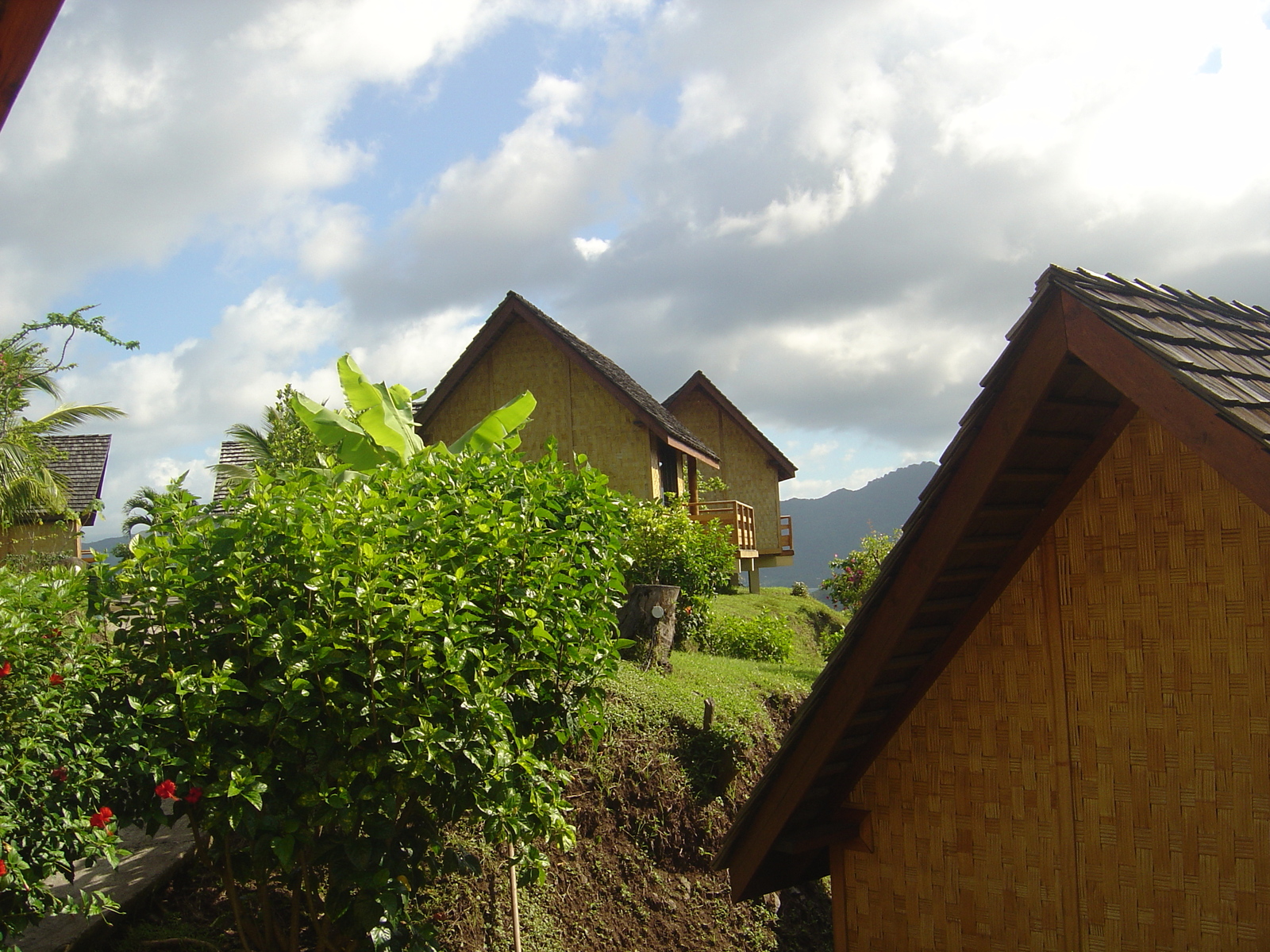 รูปถ่าย เฟรนช์โพลี่นีเซีย(Polynesia) หมู่เกาะมาร์เคซัส(Marquises) 2006-04 65