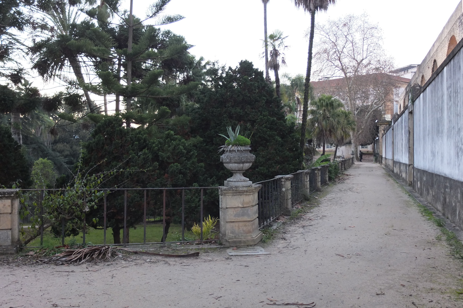 รูปถ่าย โปรตุเกส(Portugal) โกอิงบรา(Coimbra) 2013-01 59