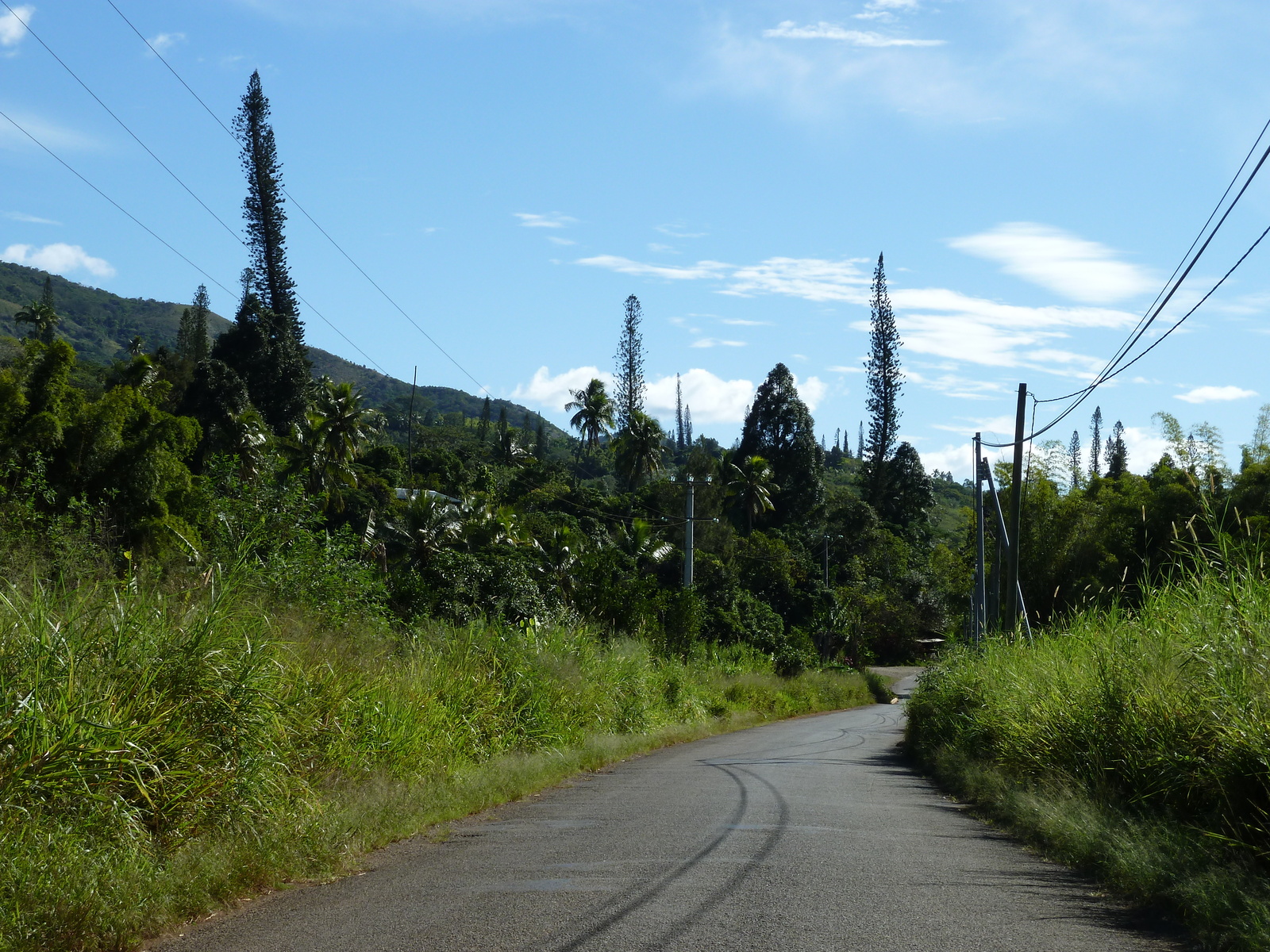 รูปถ่าย นิวแคลิโดเนีย(New Caledonia) ถนนจากทีโอไปกานาลา(Thio to Canala road) 2010-05 71