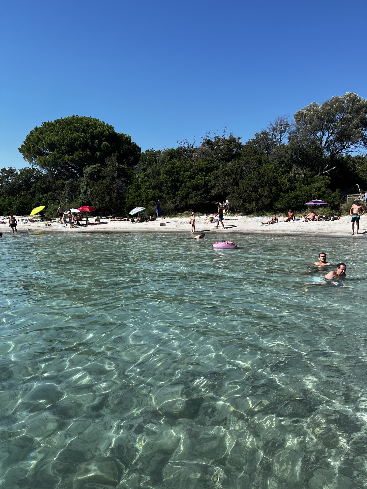 รูปถ่าย ฝรั่งเศส(France) คอร์สิคา(Corsica) หาดซันตาจูเลีย(Santa Giulia Beach) 2022-07 2