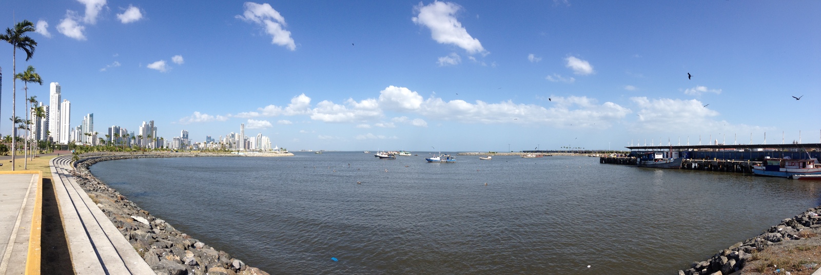 รูปถ่าย ปานามา(Panama) ปานามาซิตี(Panama City) 2015-03 82