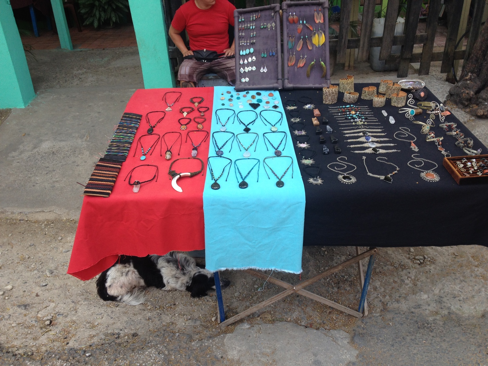 รูปถ่าย คอสตาริกา(Costa Rica) มอนเตซูมา(Montezuma) 2015-03 357