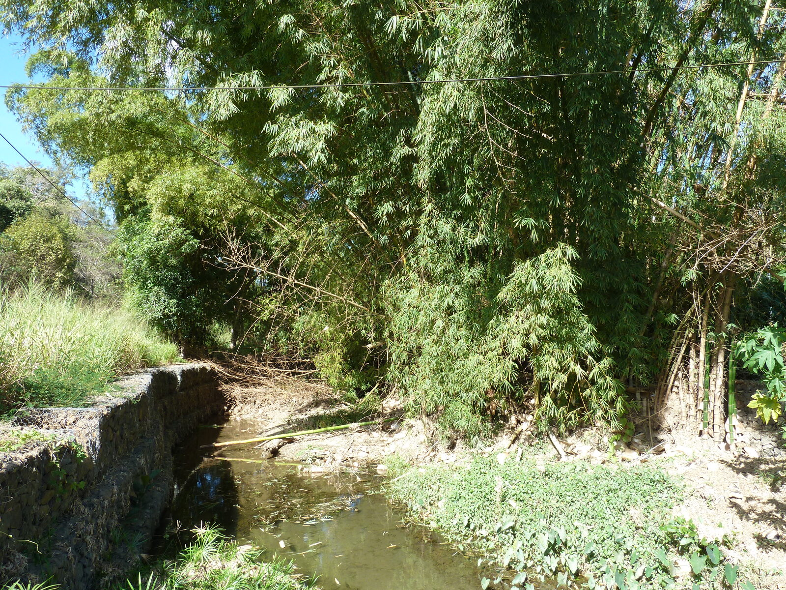 รูปถ่าย นิวแคลิโดเนีย(New Caledonia) ถนนจากทีโอไปกานาลา(Thio to Canala road) 2010-05 6
