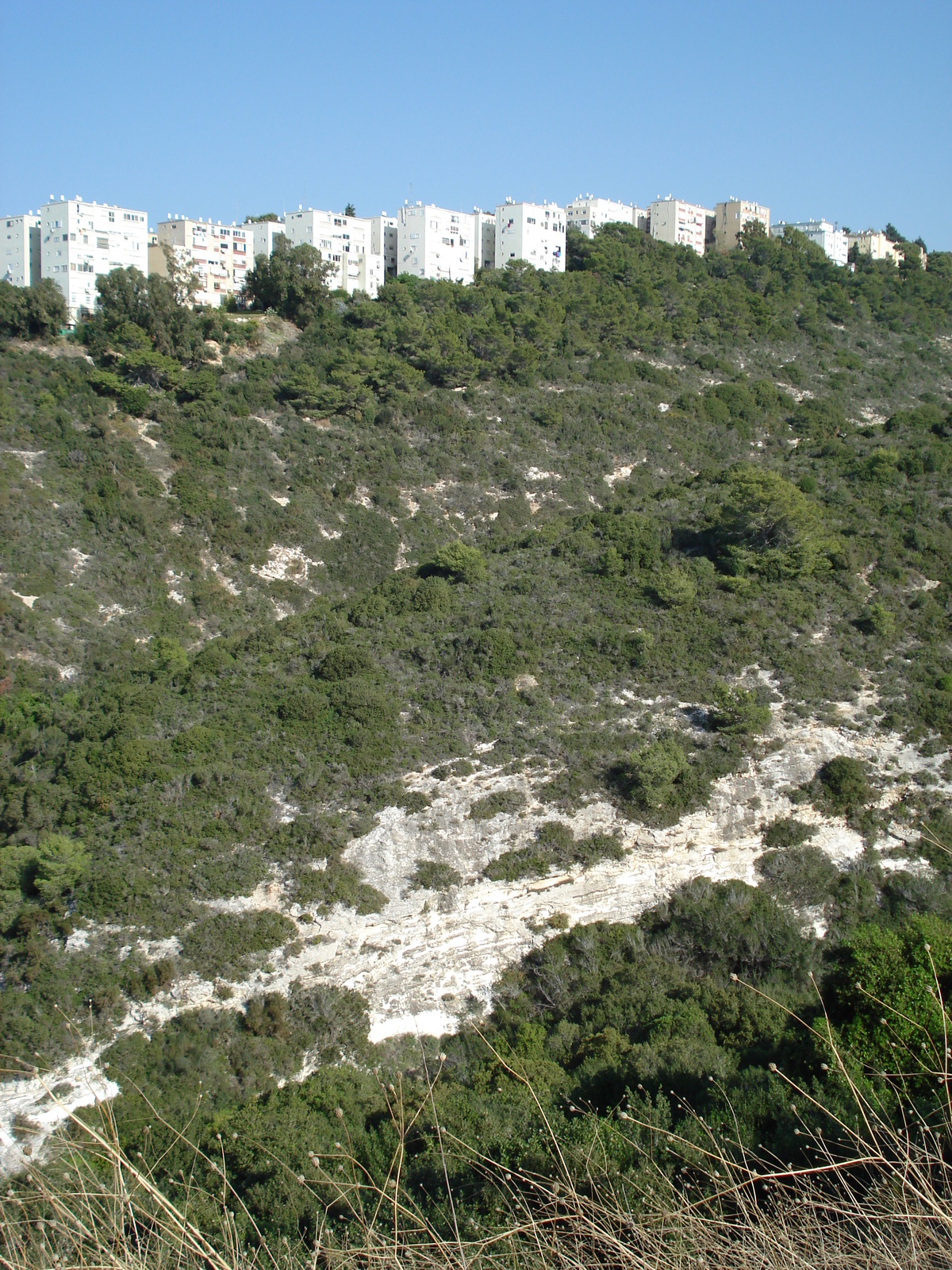 รูปถ่าย อิสราเอล(Israel) ไฮฟา(Haifa) คาร์เมล(Carmel) 2006-12 12
