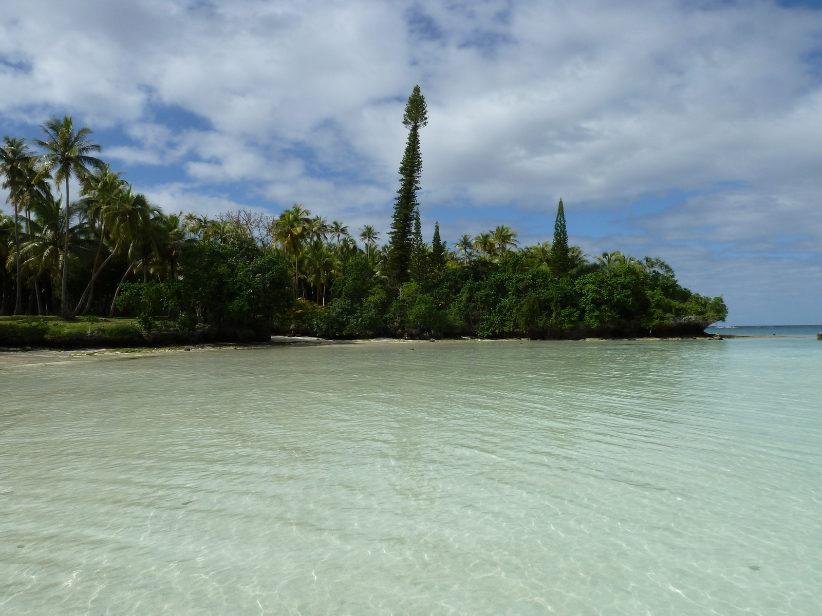 รูปถ่าย นิวแคลิโดเนีย(New Caledonia) เกาะลีฟู(Lifou) อ่าวเต่า(Baie des tortues) 2010-05 10