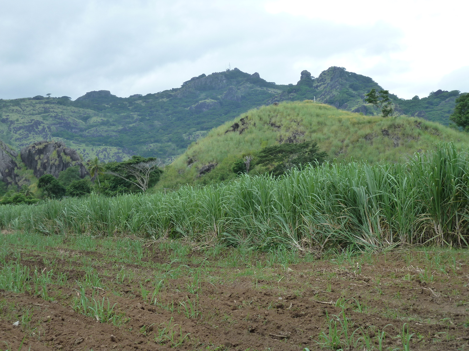 รูปถ่าย ฟิจิ(Fiji) ถนนจากนาดีไปเลาโตกา(Nadi to Lautoka road) 2010-05 5