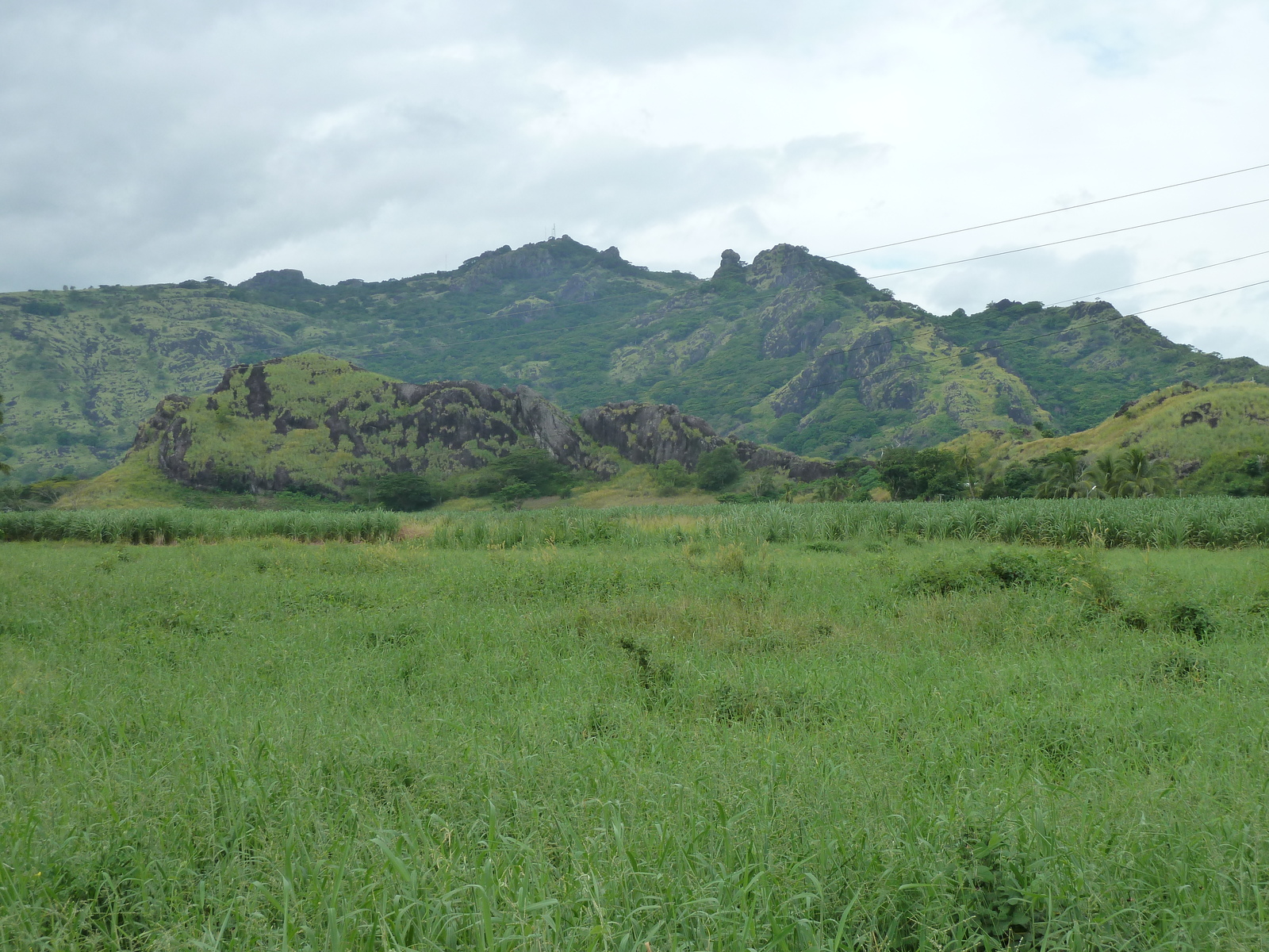 รูปถ่าย ฟิจิ(Fiji) ถนนจากนาดีไปเลาโตกา(Nadi to Lautoka road) 2010-05 6