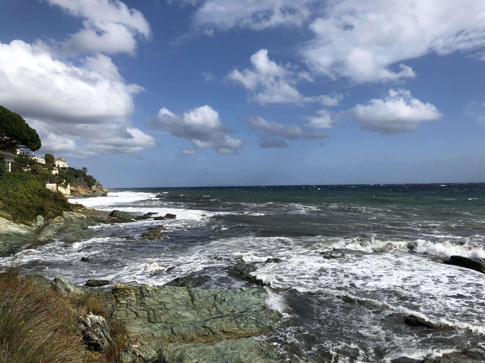 รูปถ่าย ฝรั่งเศส(France) คอร์สิคา(Corsica) ซานมาร์ตีโนดีโลตา(San Martino di Lota) 2018-09 18