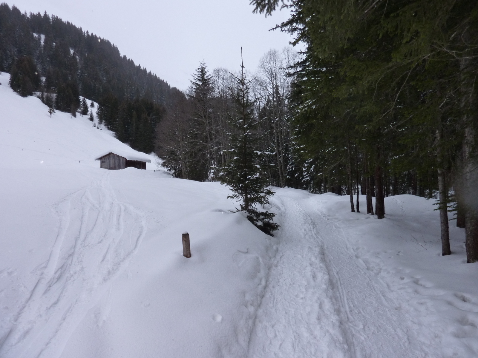 รูปถ่าย ฝรั่งเศส(France) เมแฌฟว์(Megeve) มงดาร์บัว(Mont d'Arbois) 2010-02 61