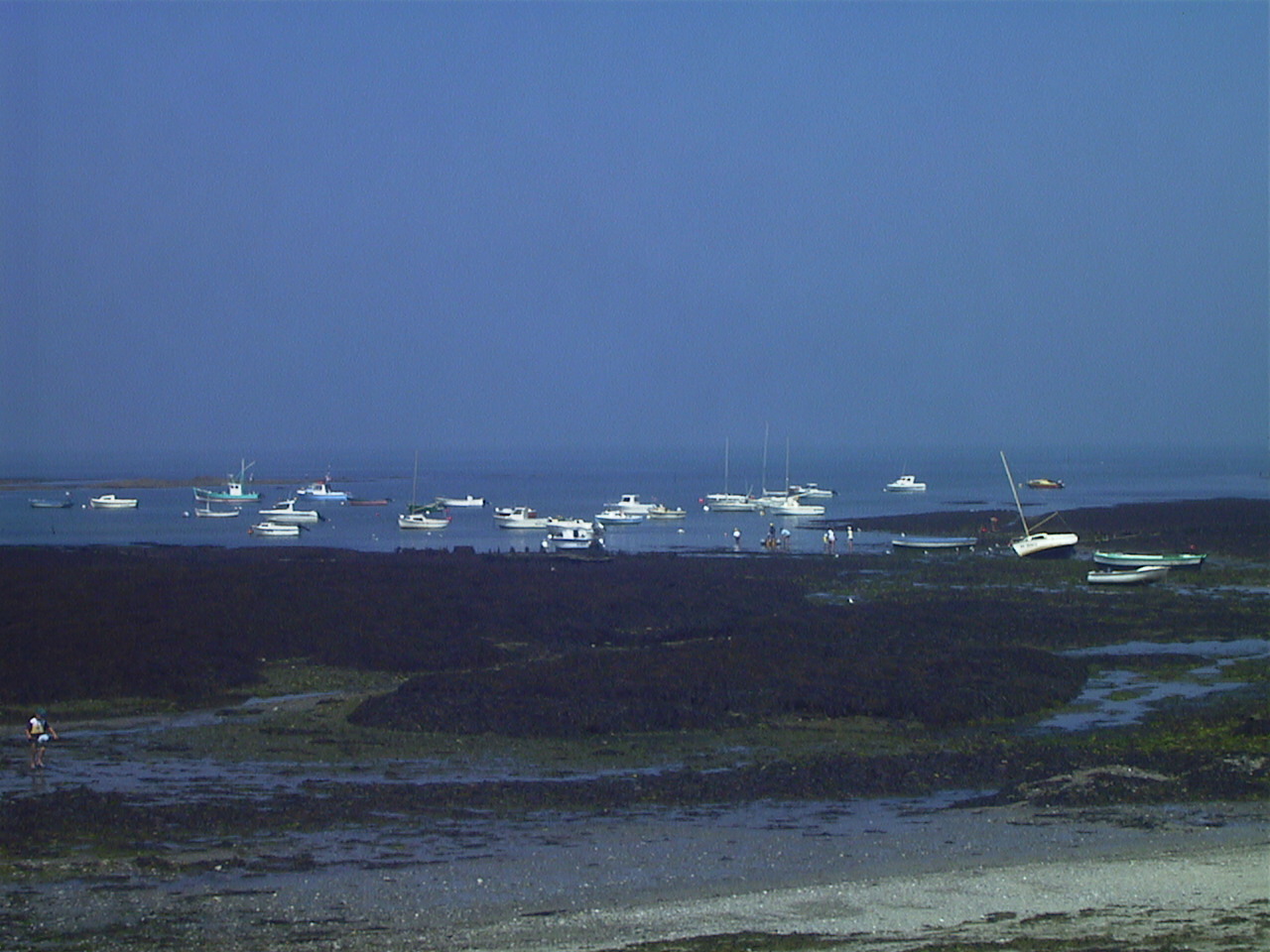 รูปถ่าย ฝรั่งเศส(France) ลาแปลน-ซูร์-แมร์(La Plaine sur mer) 1999-07 10