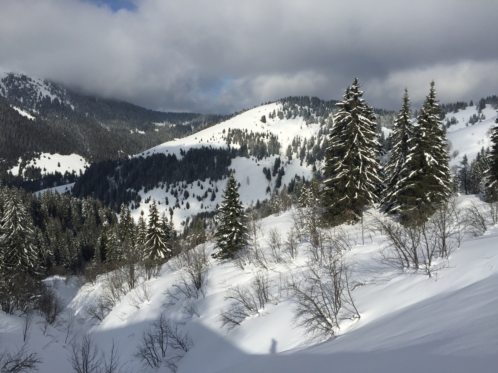 รูปถ่าย ฝรั่งเศส(France) เมแฌฟว์(Megeve) 2016-02 95