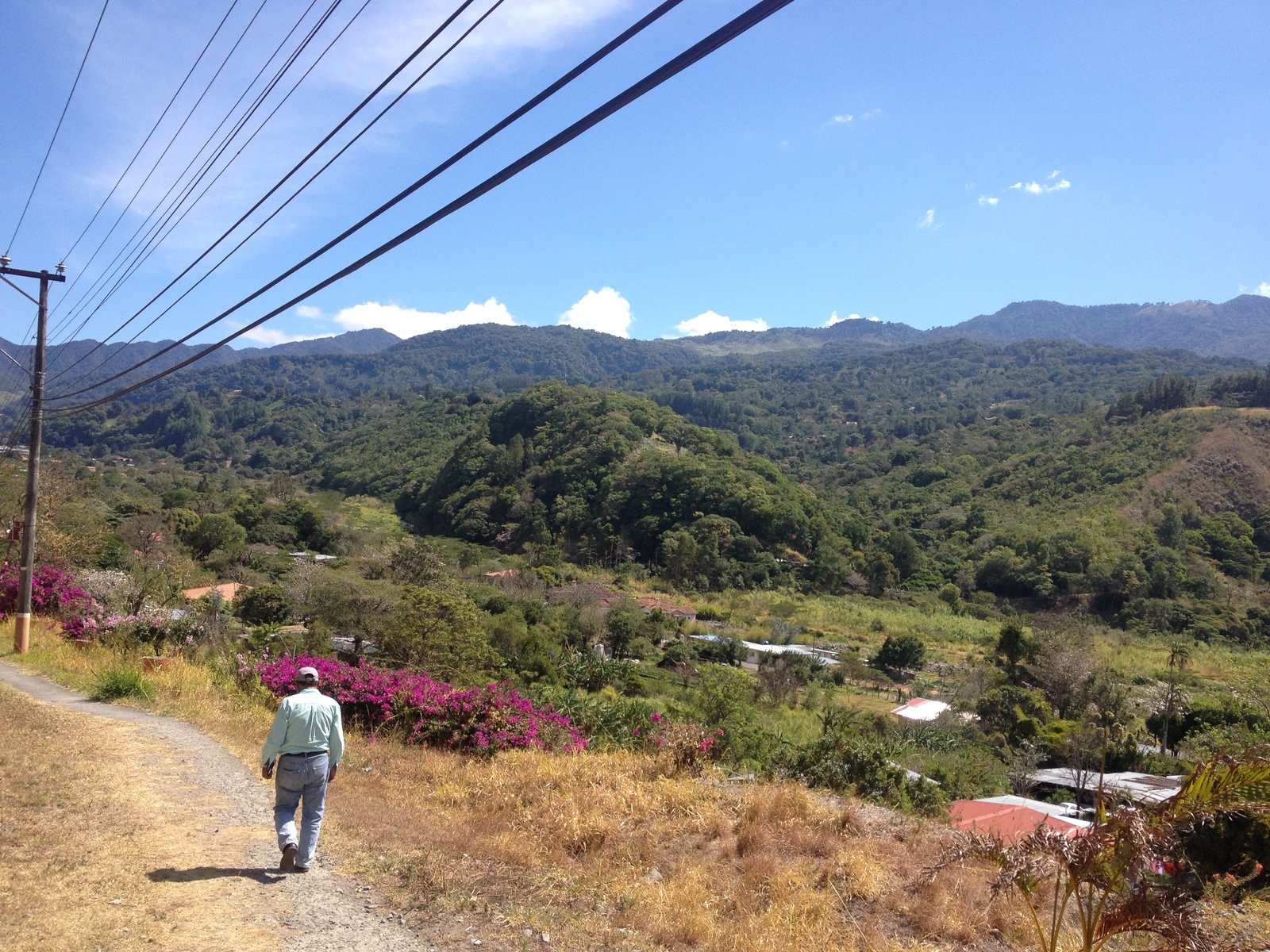 รูปถ่าย ปานามา(Panama) โบเกเต(Boquete) 2015-03 156