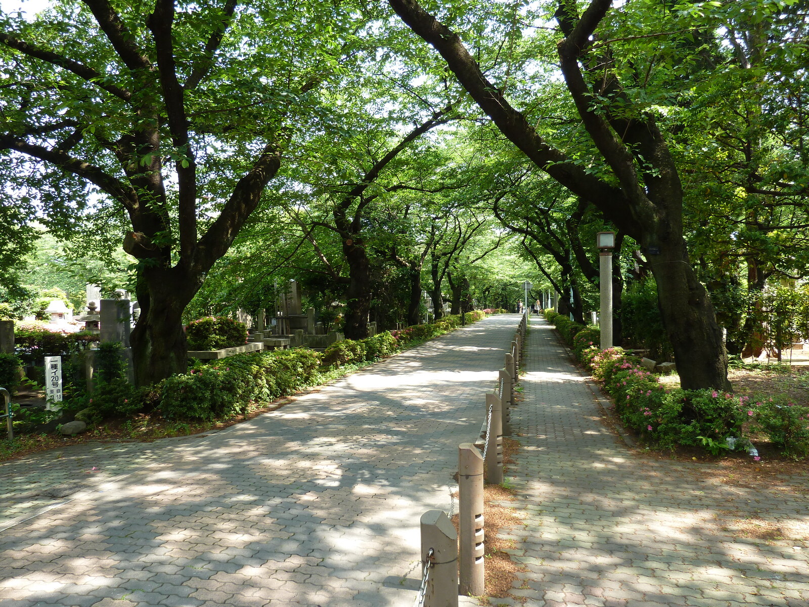 รูปถ่าย ญี่ปุ่น(Japan) โตเกียว(Tokyo) โอโมเตะซันโด(Omotesando) 2010-06 54