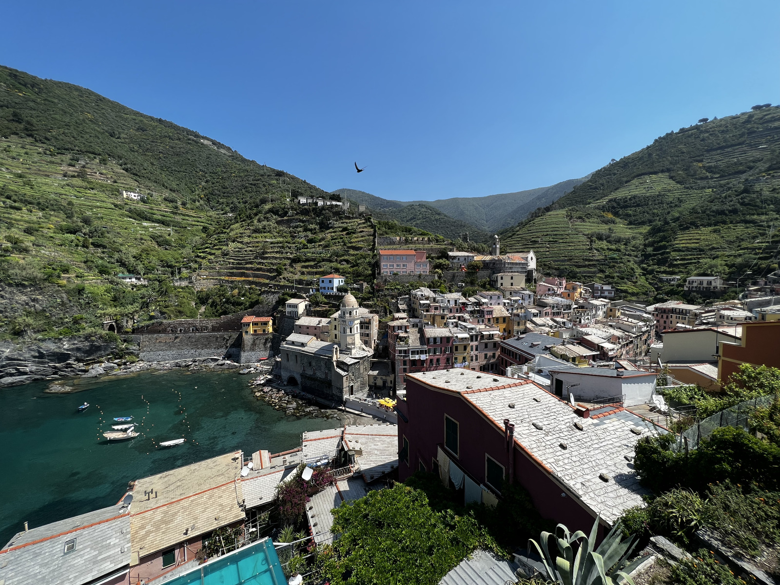 รูปถ่าย อิตาลี(Italy) ชิงเกวแตร์เร(The Cinque Terre) 2022-05 94