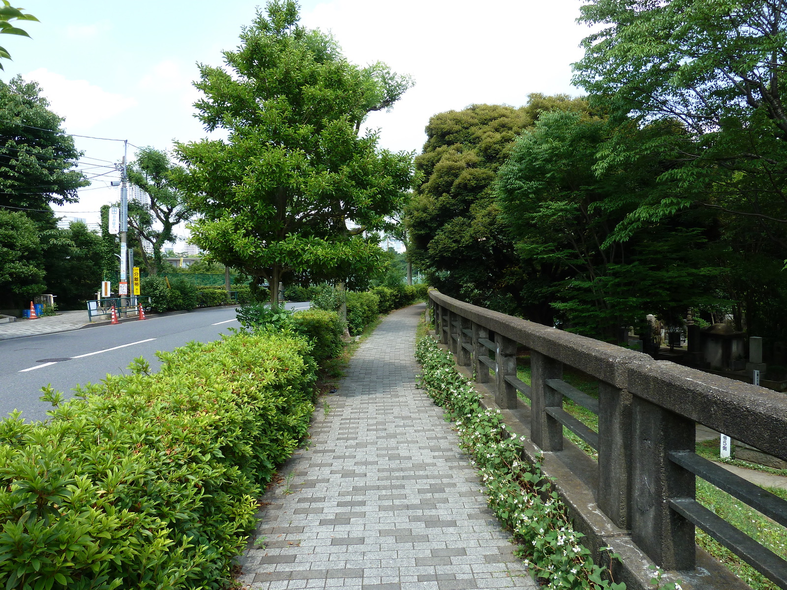 รูปถ่าย ญี่ปุ่น(Japan) โตเกียว(Tokyo) โอโมเตะซันโด(Omotesando) 2010-06 26