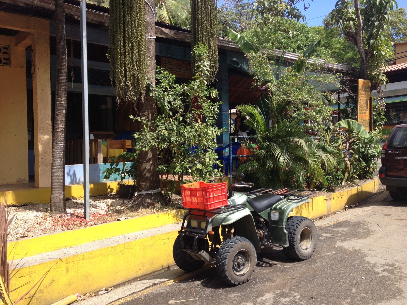 รูปถ่าย คอสตาริกา(Costa Rica) มอนเตซูมา(Montezuma) 2015-03 224