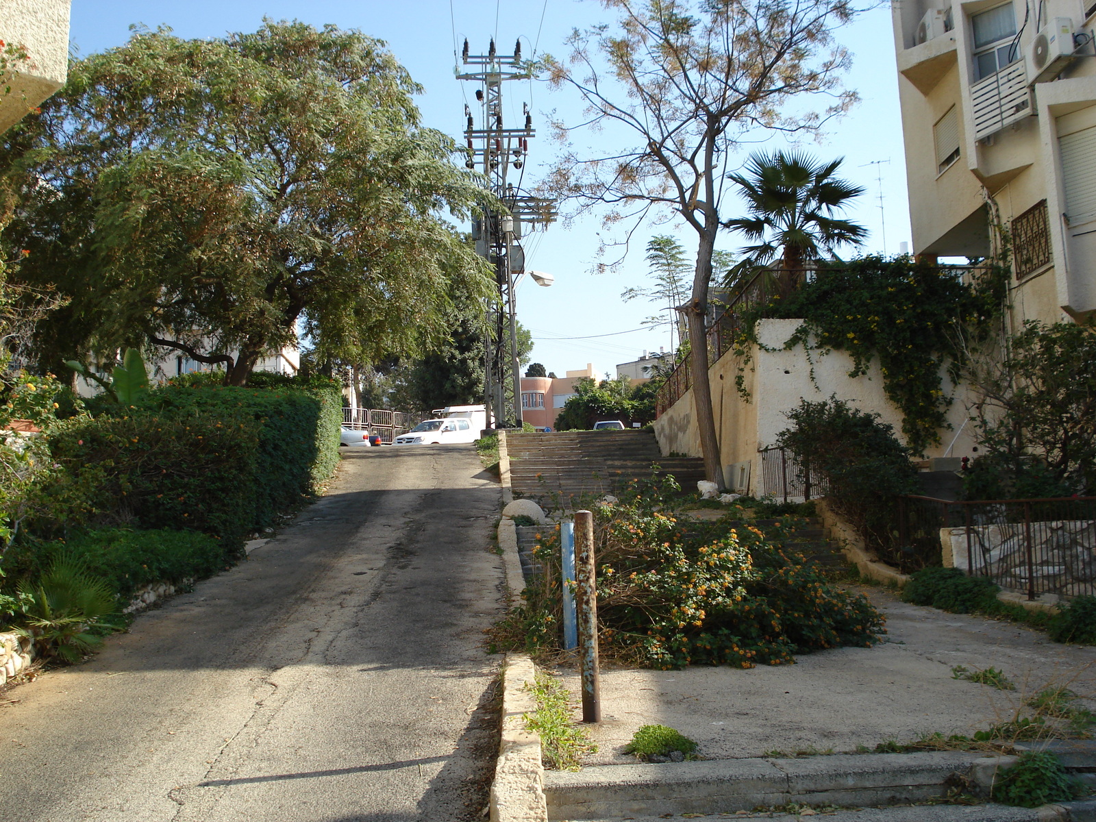 รูปถ่าย อิสราเอล(Israel) ไฮฟา(Haifa) คาร์เมล(Carmel) 2006-12 43