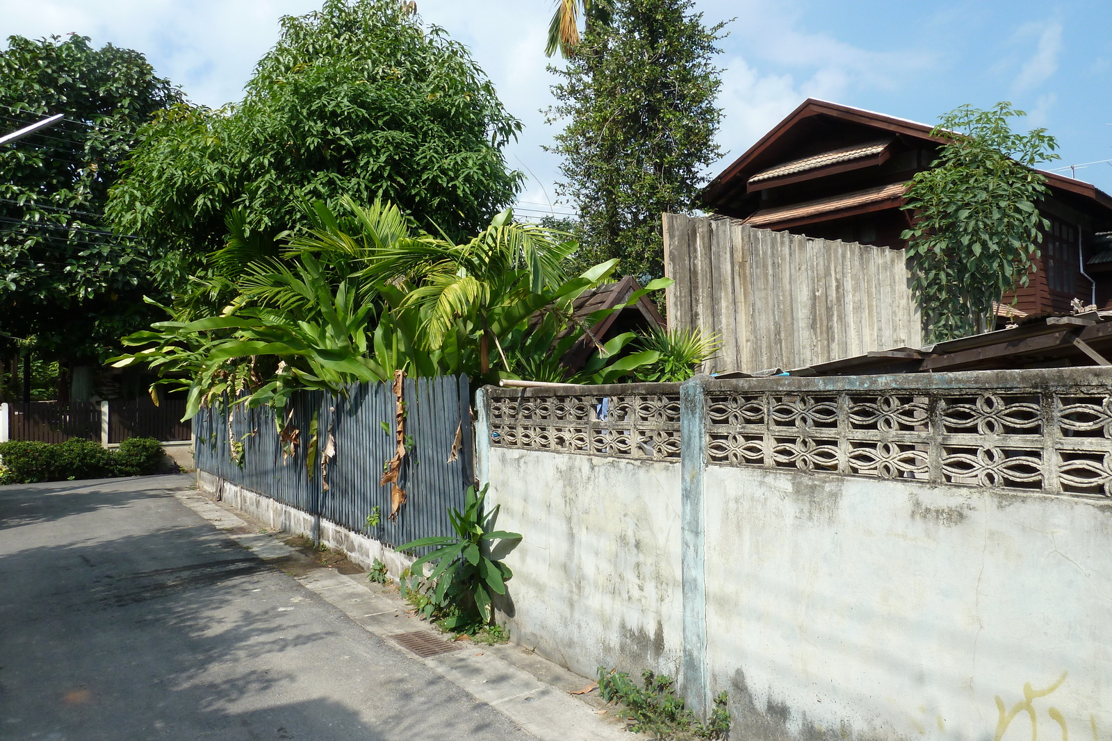 รูปถ่าย ไทย(Thailand) เชียงใหม่(Chiang Mai) 2010-12 25