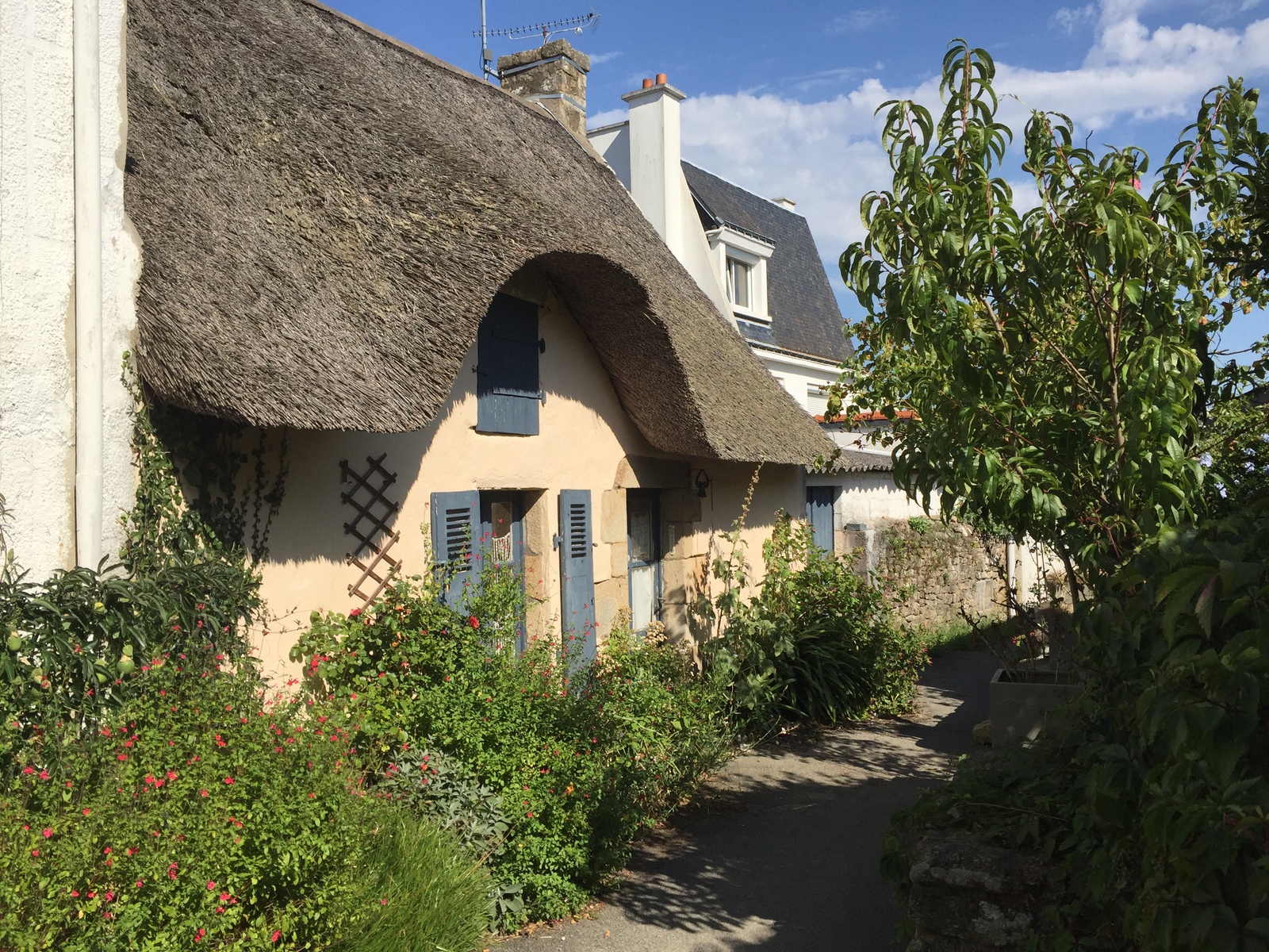 รูปถ่าย ฝรั่งเศส(France) เกาะโอมวน(Ile-aux-Moines) 2016-08 95