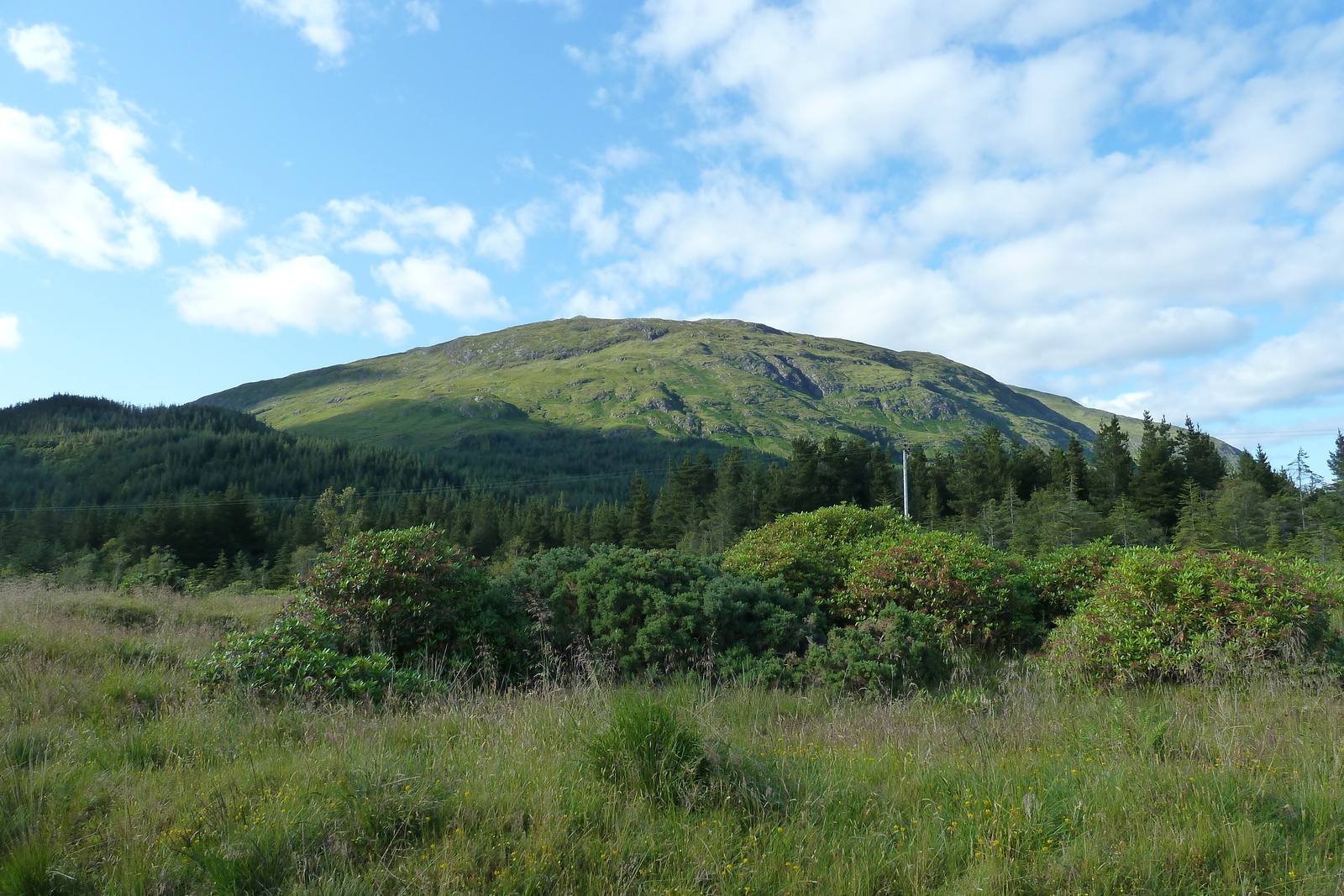 รูปถ่าย อังกฤษ(United Kingdom) สกอตแลนด์(Scotland) ทะเลสาบลอคลินนี(Loch Linnhe) 2011-07 44
