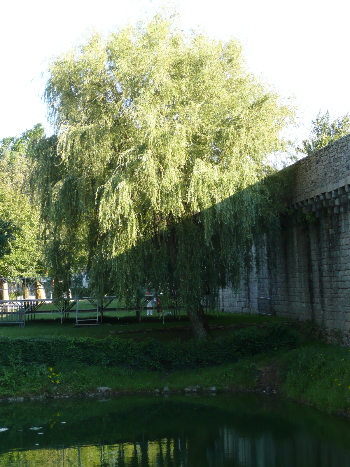 รูปถ่าย ฝรั่งเศส(France) เกรองเดอ(Guerande) 2007-08 11