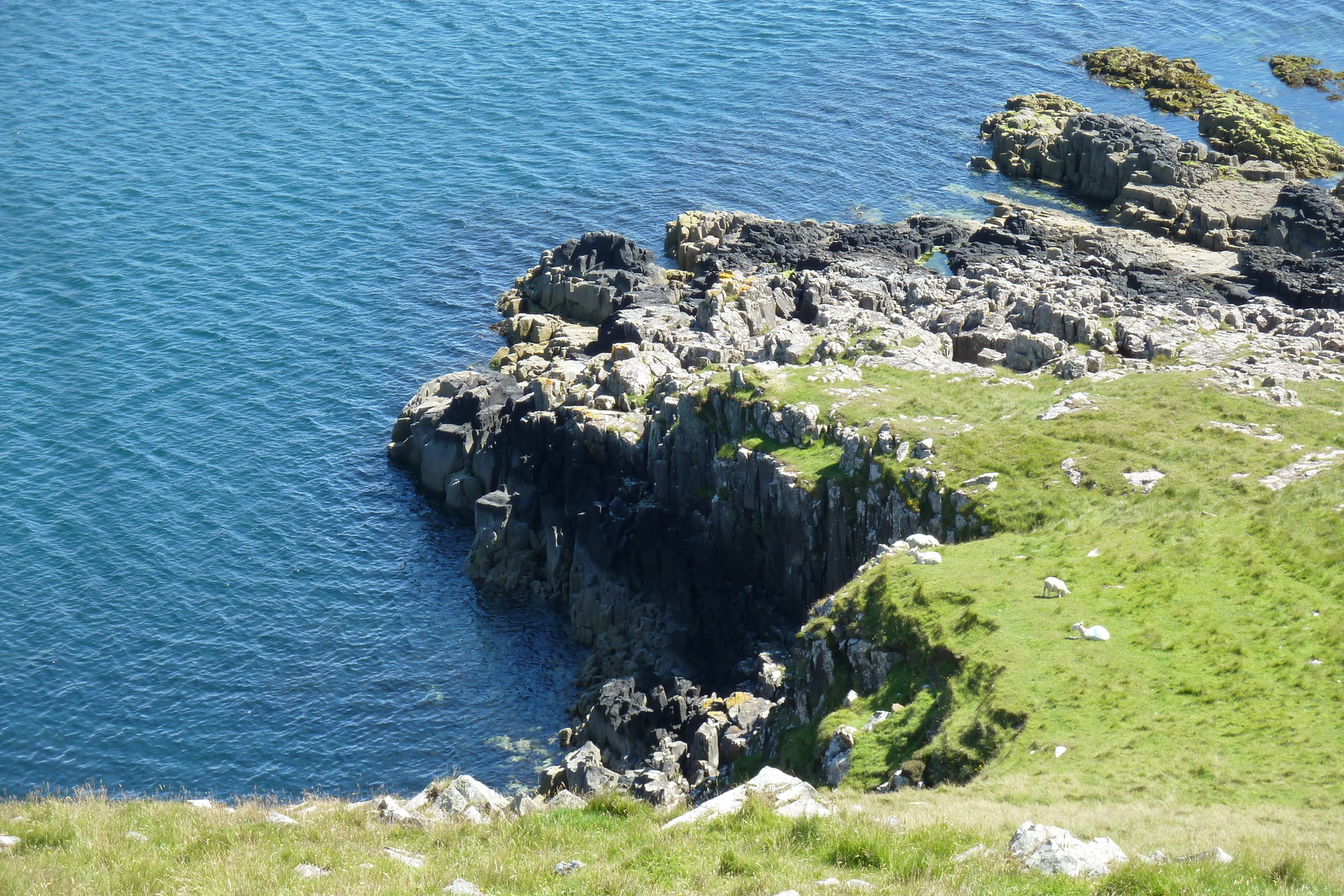 รูปถ่าย อังกฤษ(United Kingdom) เกาะสกาย(Skye) แหลมนีสต์พอยต์(Neist Point) 2011-07 45